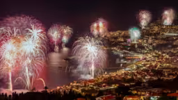 Firework in shades of red