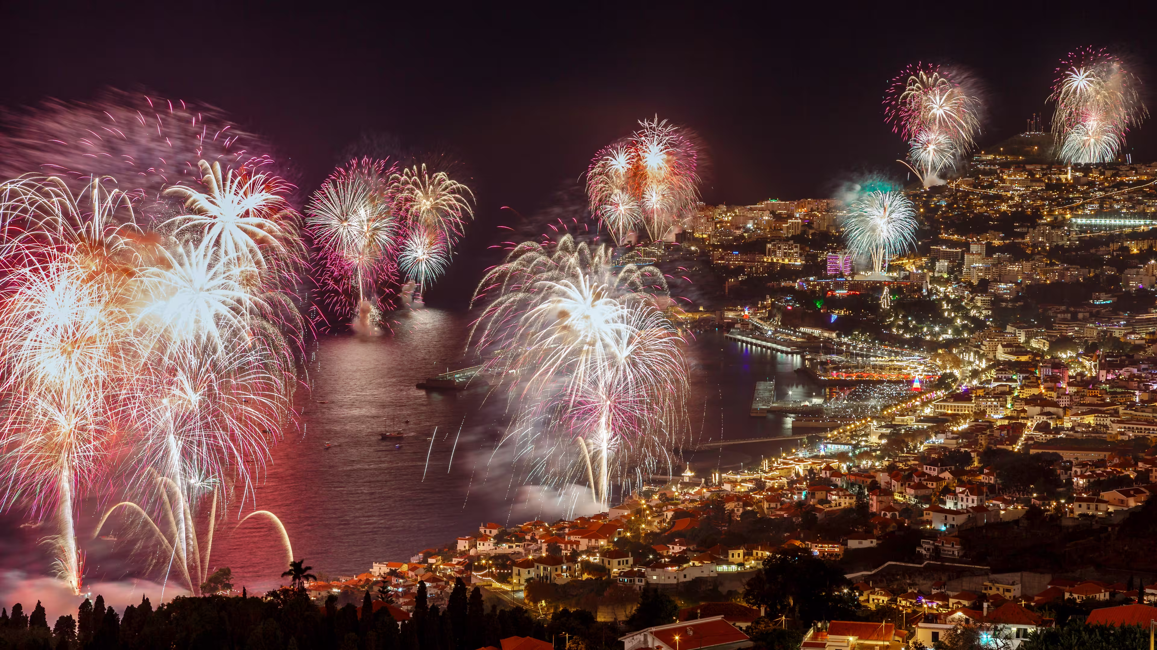 Firework in shades of red
