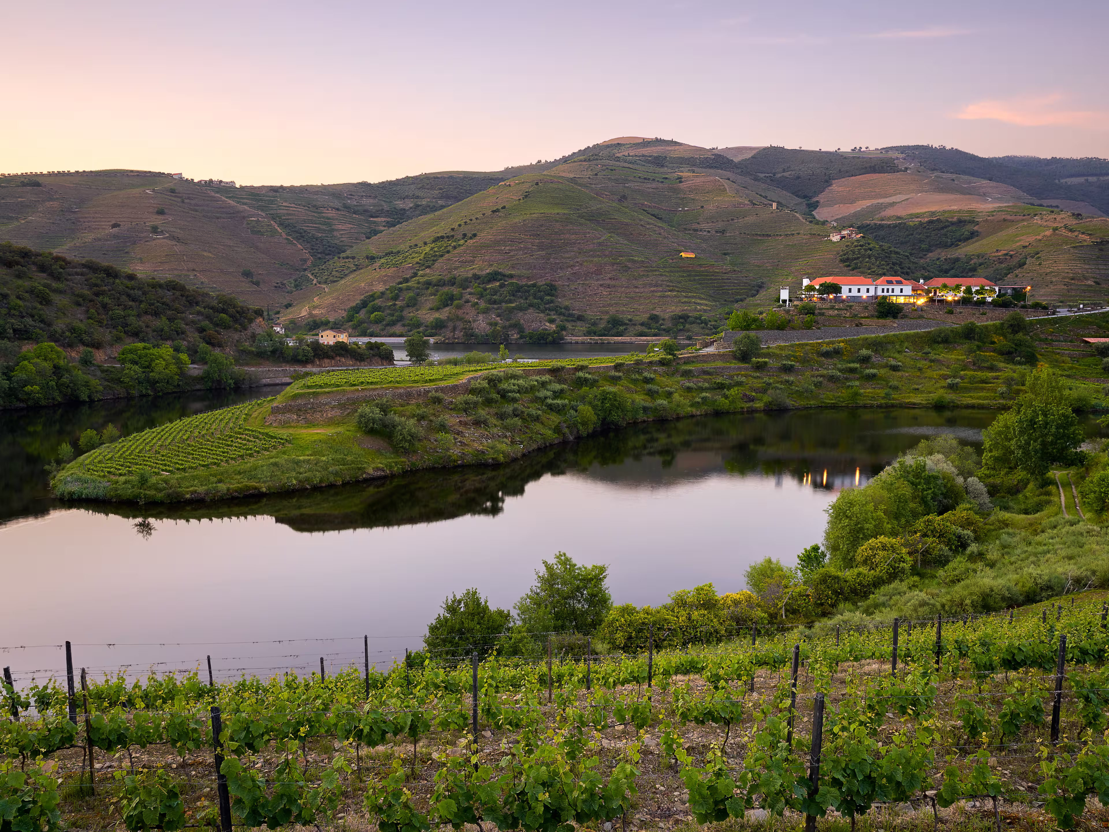 Douro Flussbiegung bei Quinta do Tedo