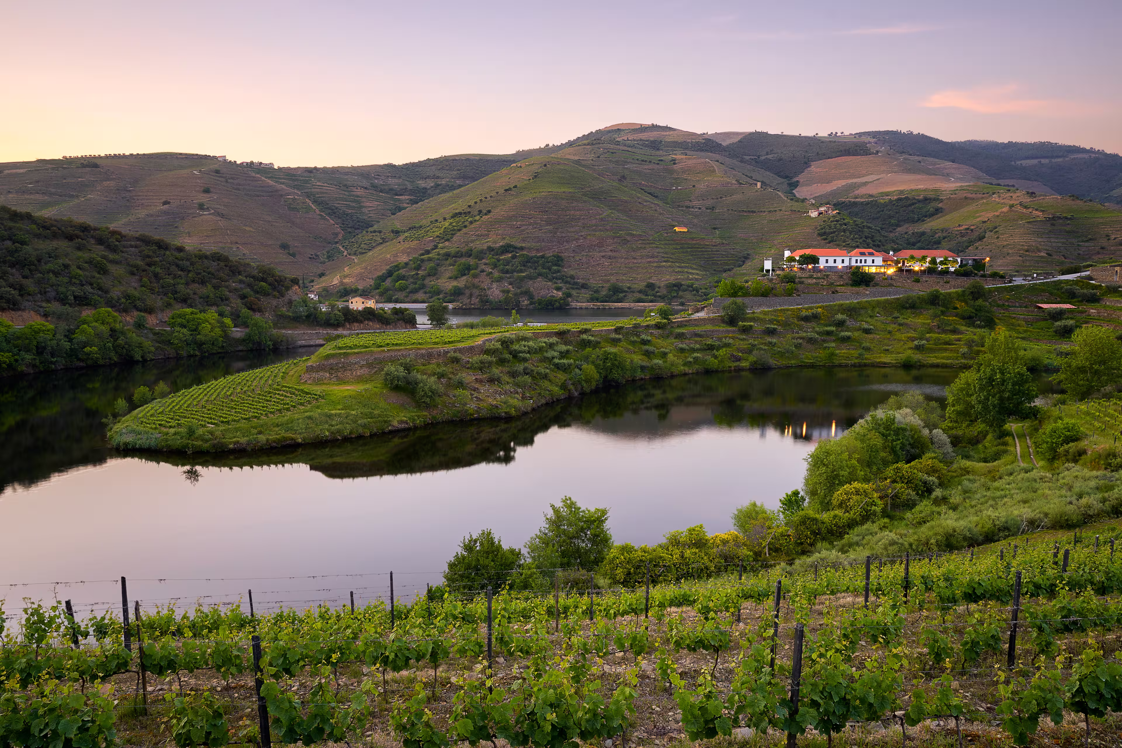 Douro Flussbiegung bei Quinta do Tedo