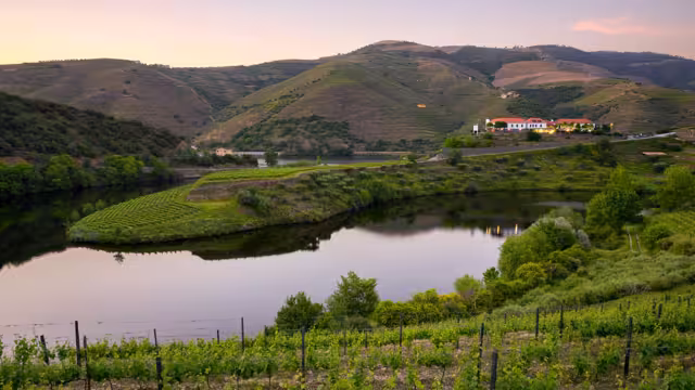 Douro Flussbiegung bei Quinta do Tedo