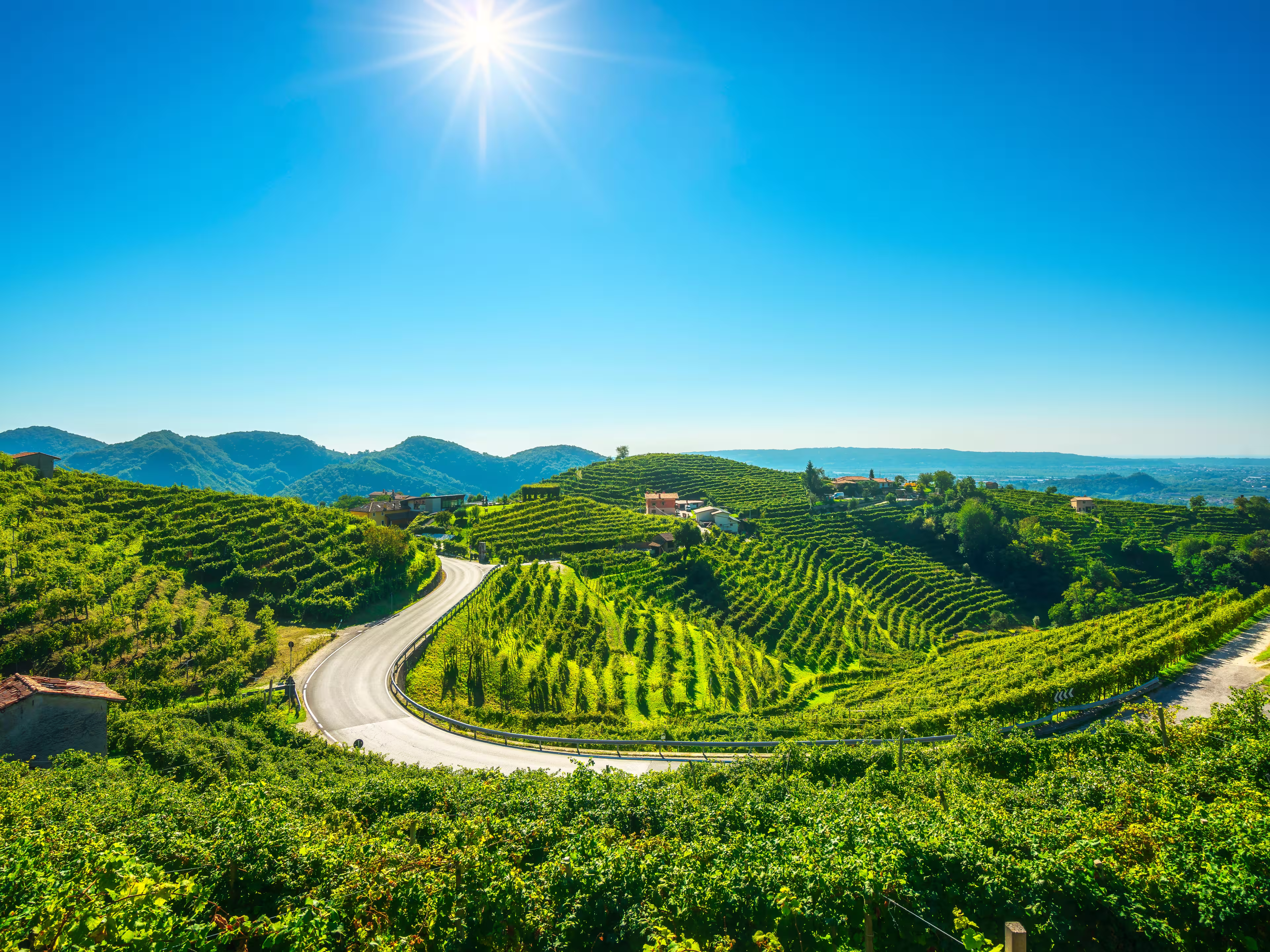 Vineyards and road. Prosecco Hills, Unesco World Heritage Site. Valdobbiadene, Veneto, Italy