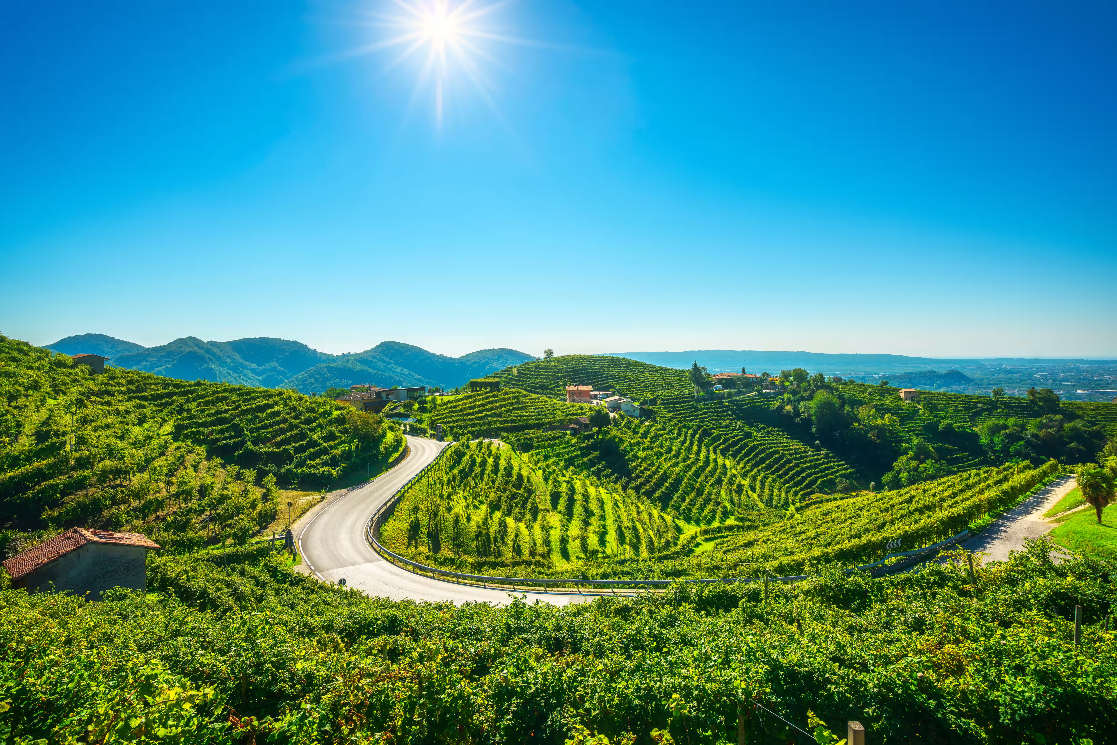 Vineyards and road. Prosecco Hills, Unesco World Heritage Site. Valdobbiadene, Veneto, Italy