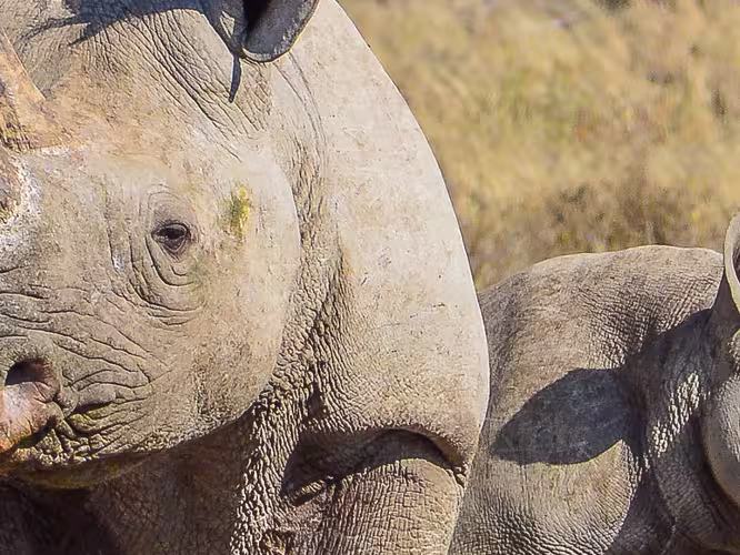 Botswana Family Safari with Teenagers - 1