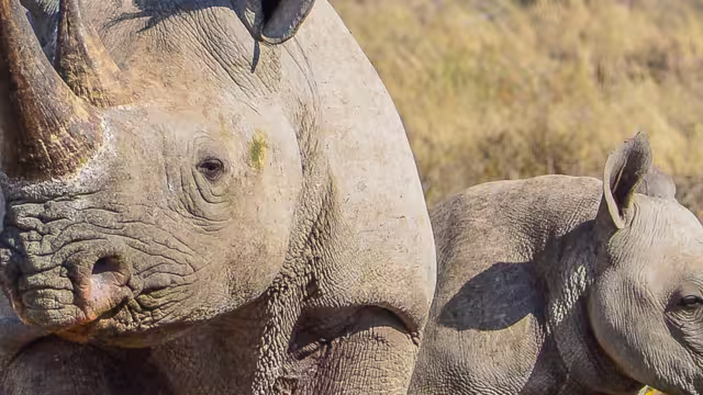 Botswana Family Safari with Teenagers - 1