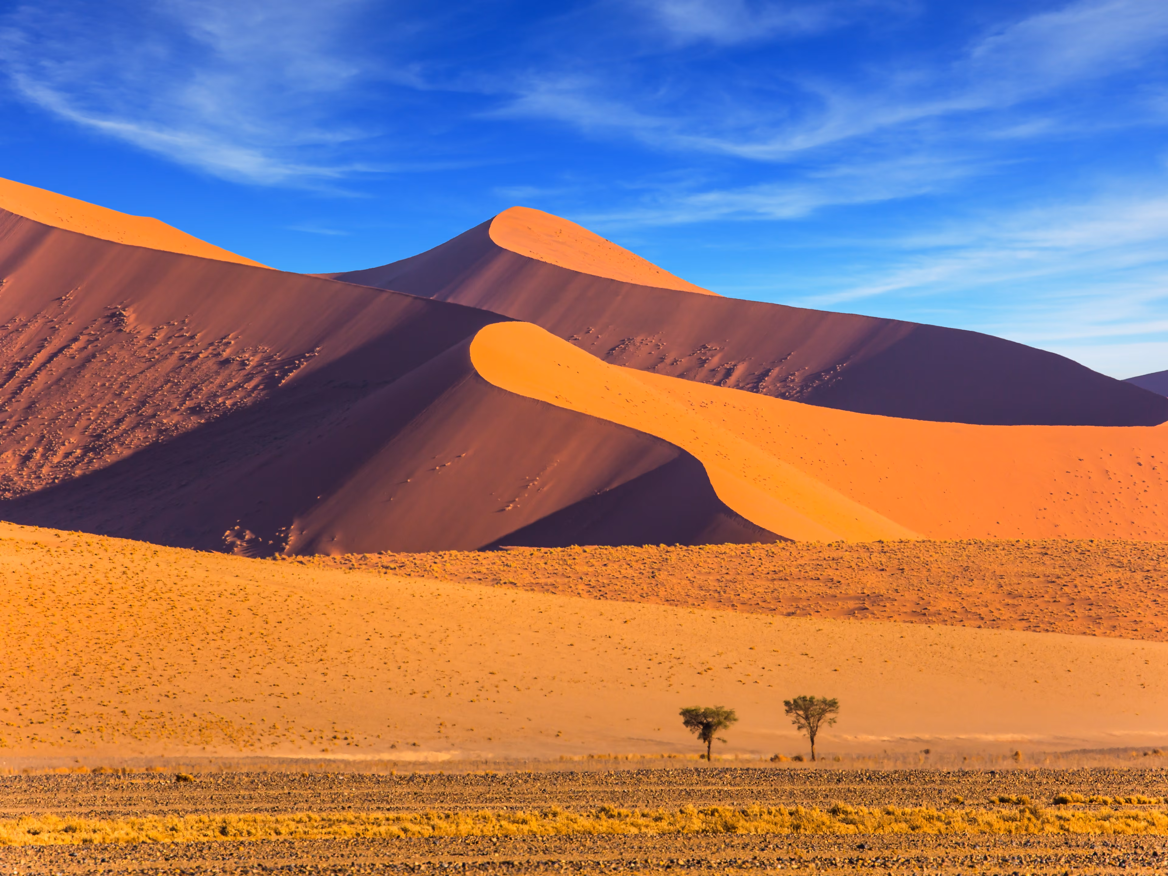 Sharp border of light and shadow over the crest of the dune. The Namib-Naukluft at sunset. Namibia, South Africa. The concept of extreme and exotic tourism