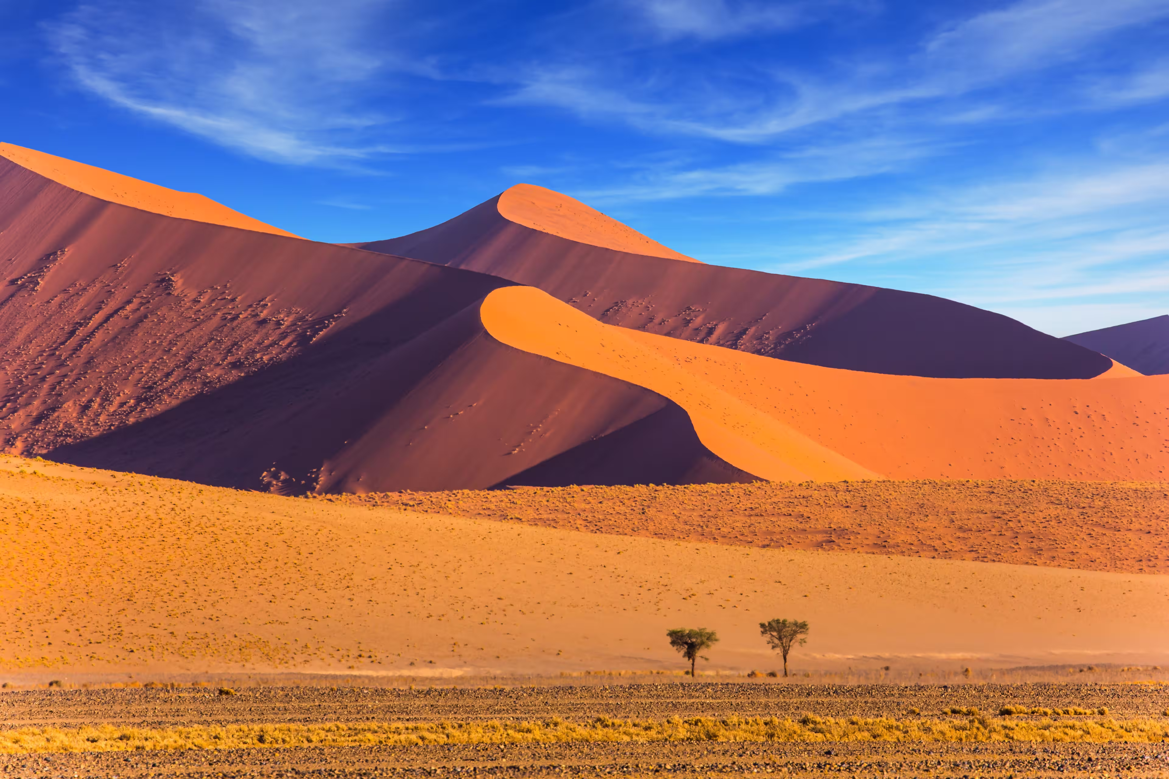 Sharp border of light and shadow over the crest of the dune. The Namib-Naukluft at sunset. Namibia, South Africa. The concept of extreme and exotic tourism