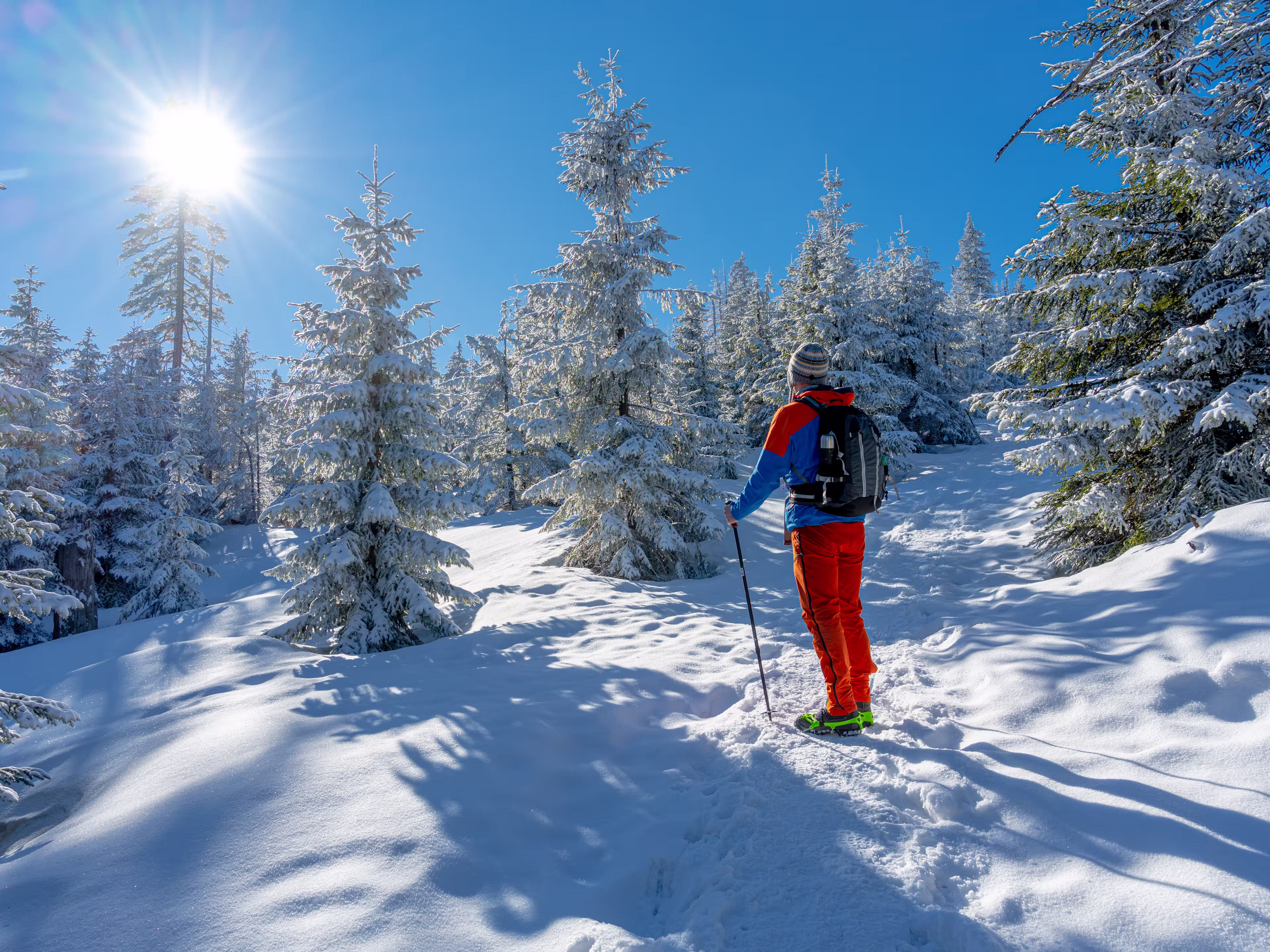 Man with backpack in the winter mountains. Travel to scenic places. Man with trekking sticks. A tourist walks through a snowy forest and walks along the path.