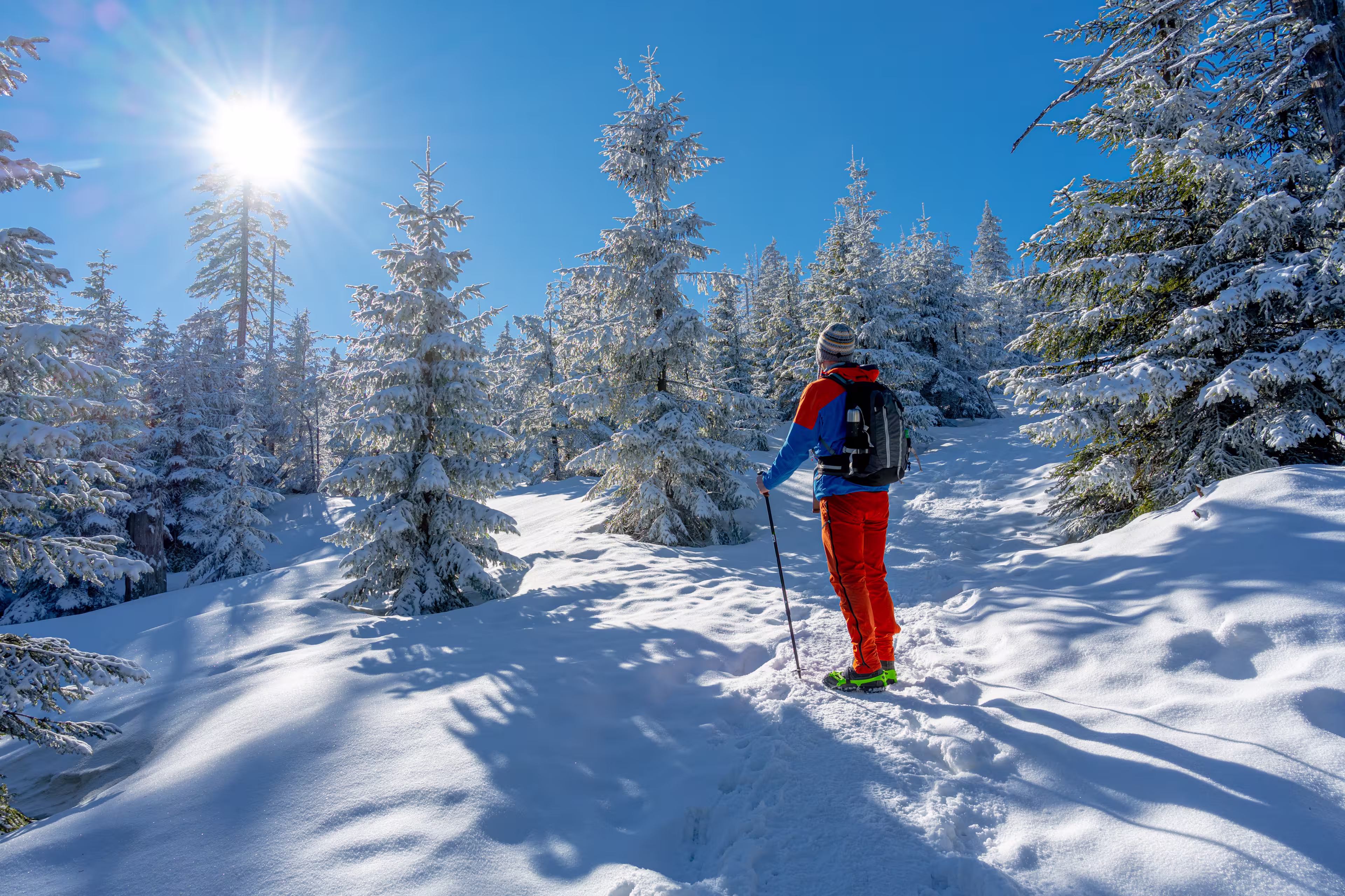 Man with backpack in the winter mountains. Travel to scenic places. Man with trekking sticks. A tourist walks through a snowy forest and walks along the path.