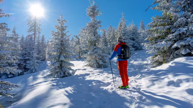 Man with backpack in the winter mountains. Travel to scenic places. Man with trekking sticks. A tourist walks through a snowy forest and walks along the path.