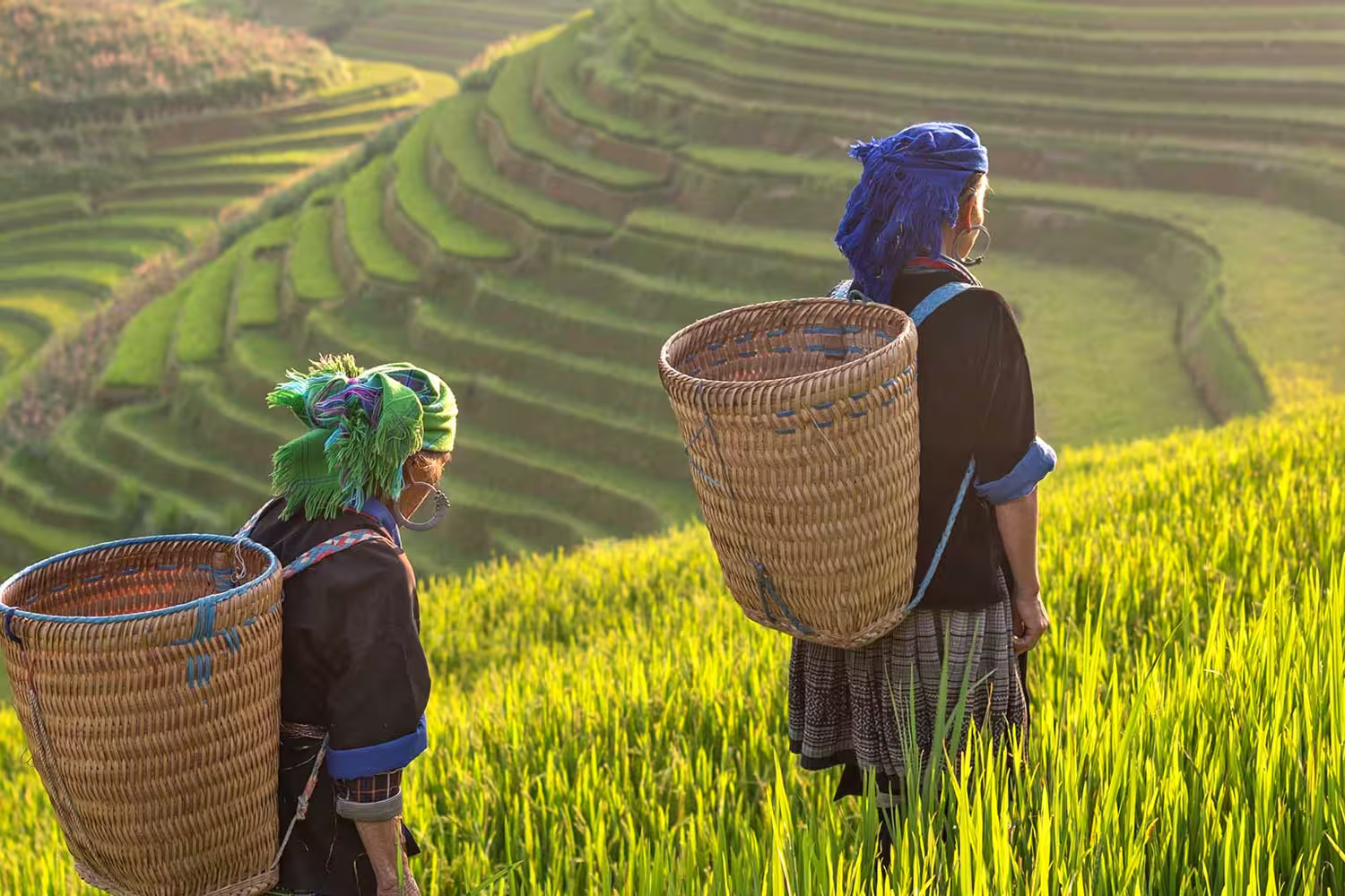 Thailand Hilltribe Trek with Intrepid Travel