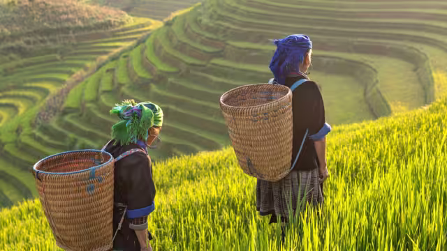 Thailand Hilltribe Trek with Intrepid Travel