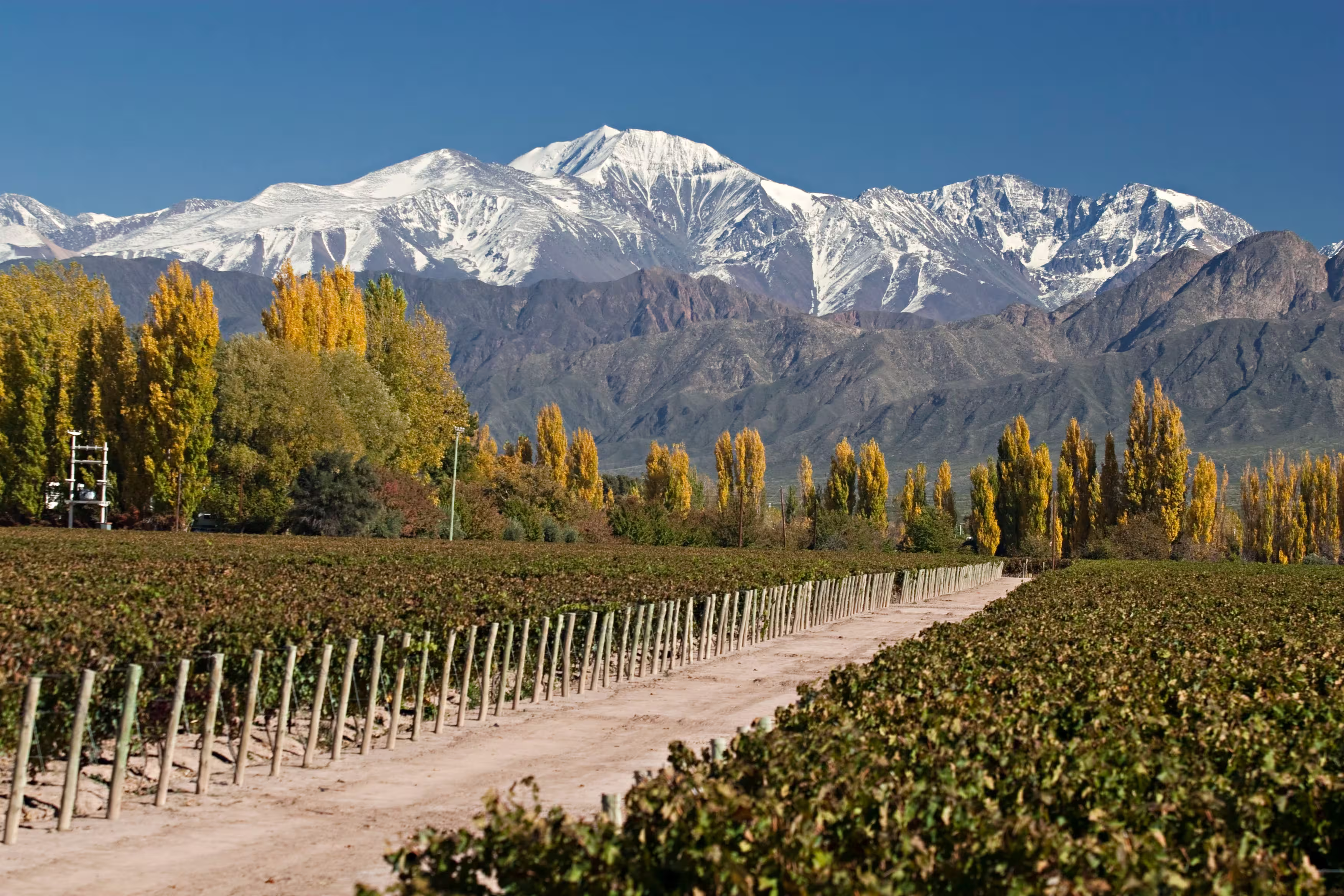 Mendoza - Zwischen Weinbergen und Anden