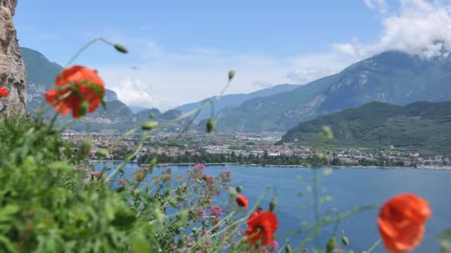 Riva del Garda