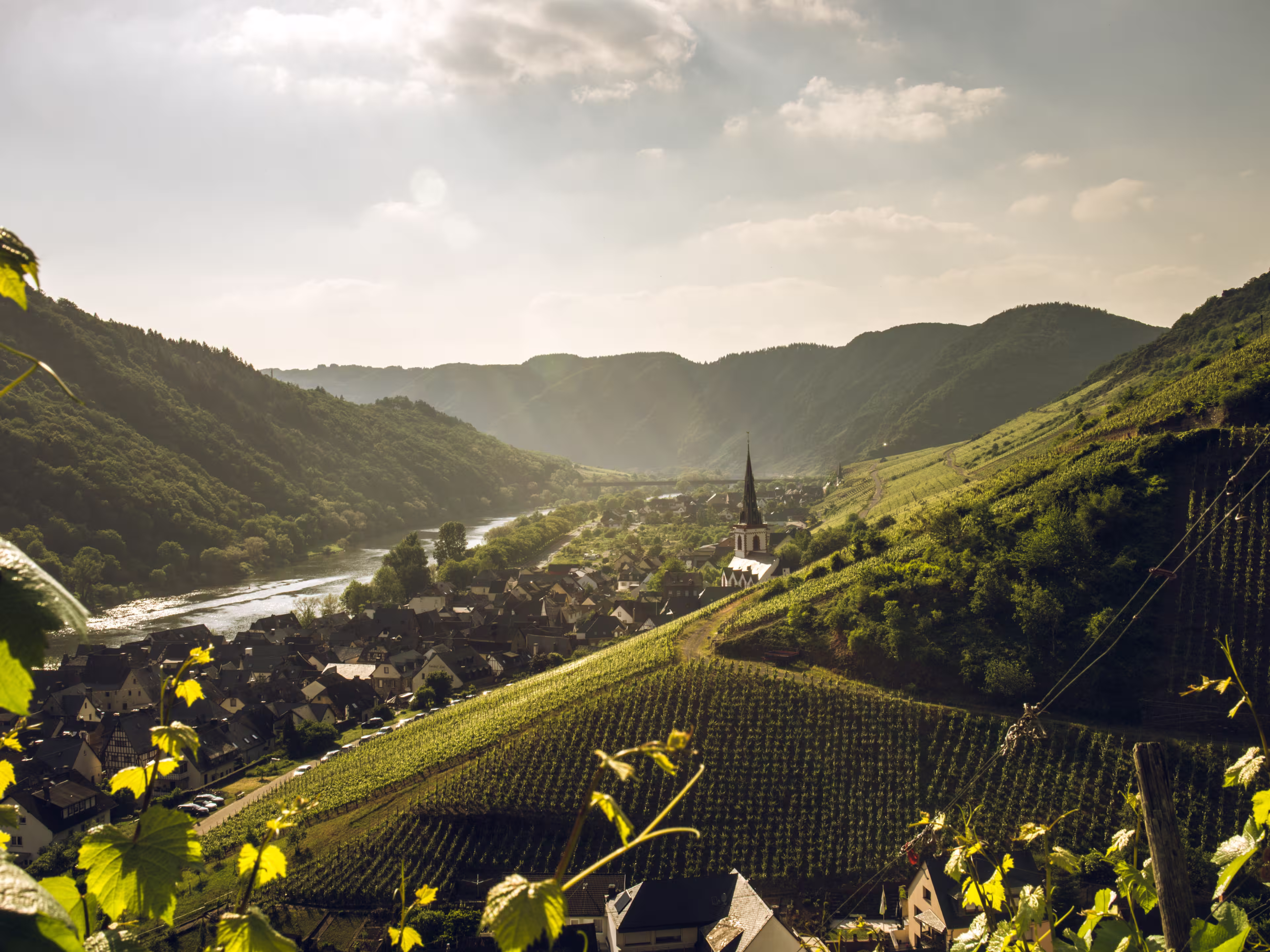 Moselsteig