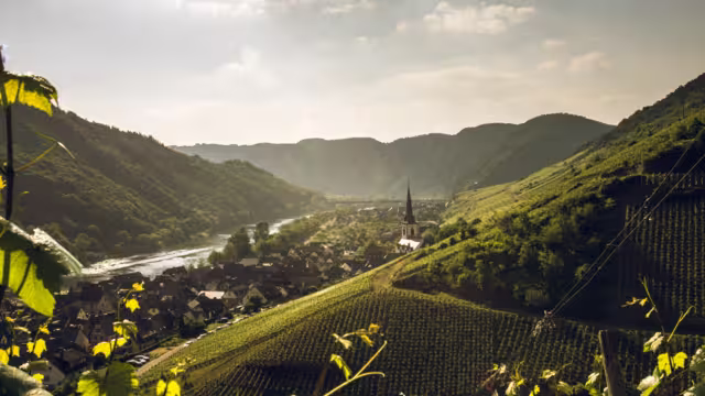 Moselsteig