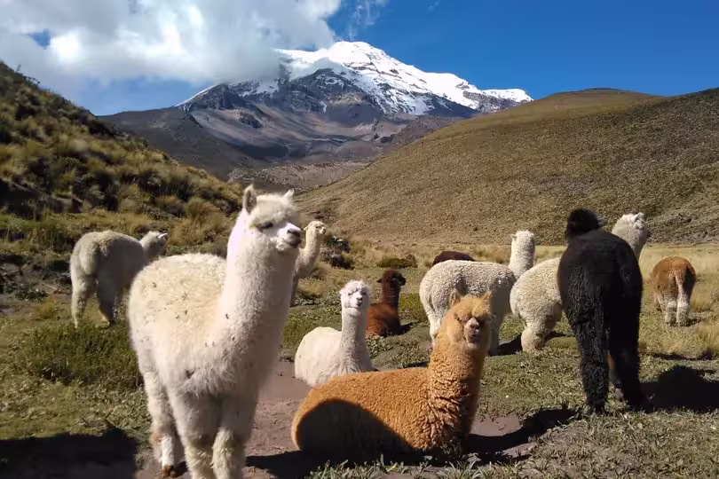 Ecuador – Straße der Vulkane