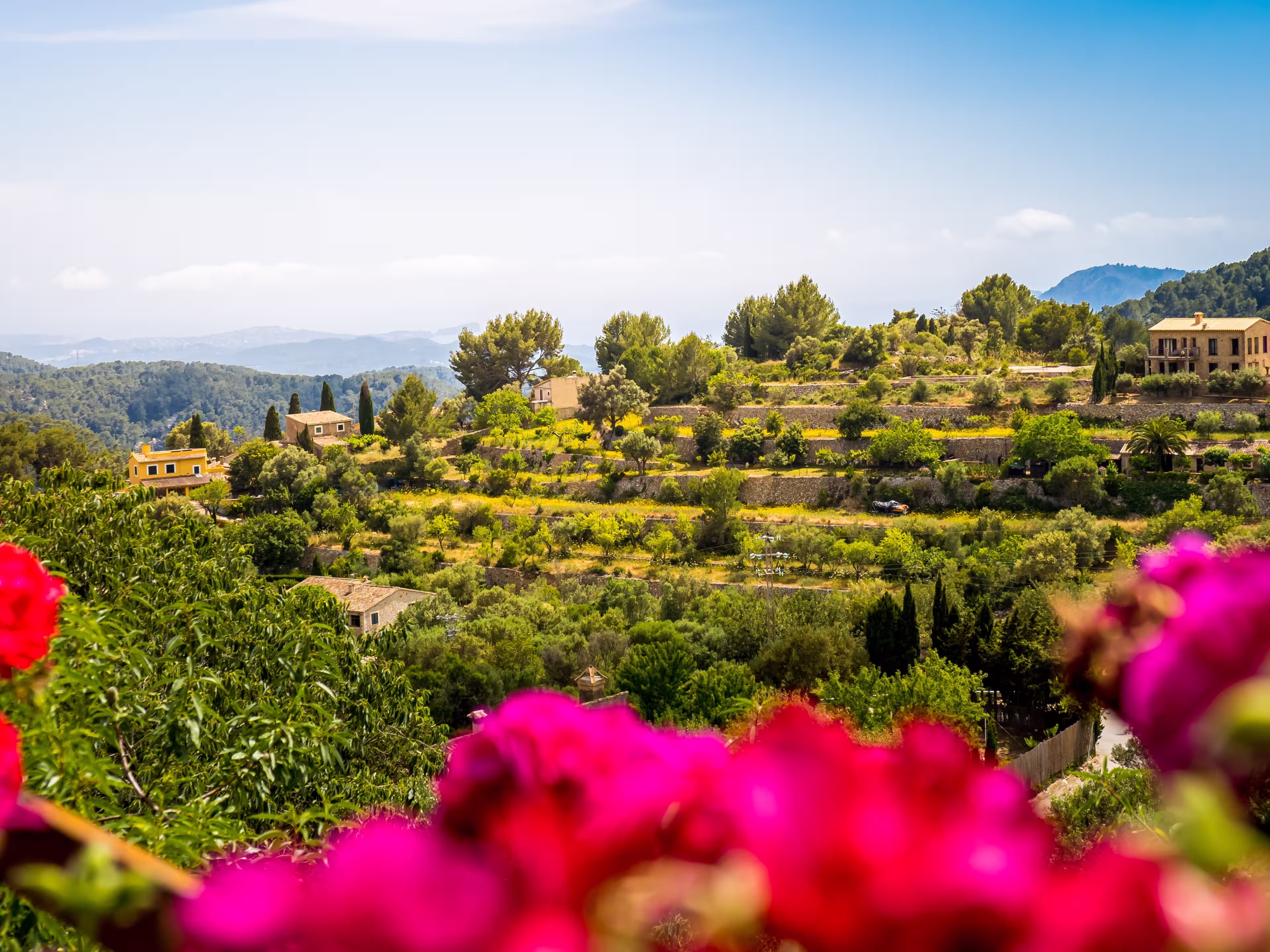 View through red geraniums from viewing platform Mirador Galilea at the square Ses Timbes also known as Plaza Pius XII or Plaza de la Iglesia in Galilea village at Mallorca to the mediterranean sea.