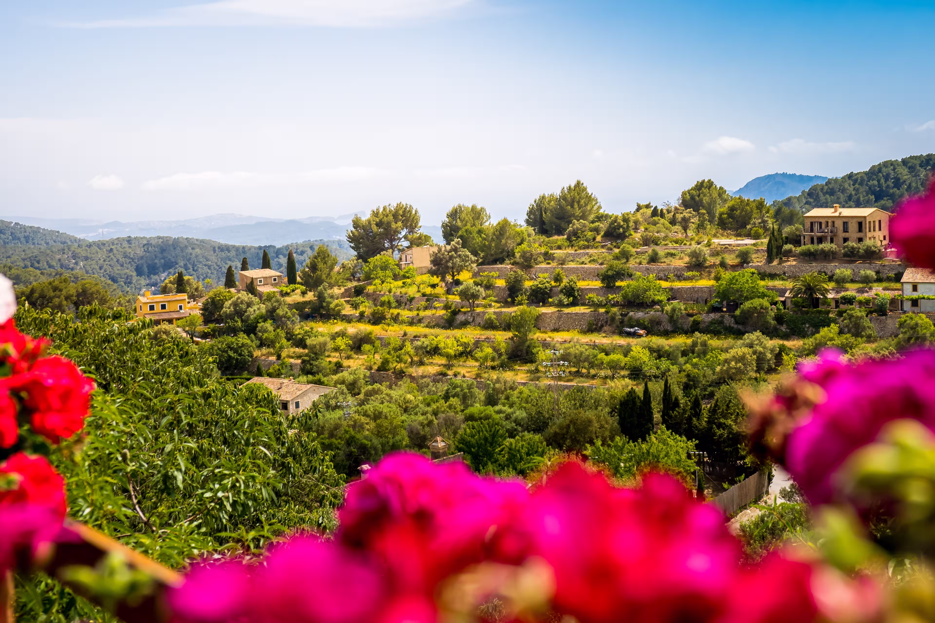View through red geraniums from viewing platform Mirador Galilea at the square Ses Timbes also known as Plaza Pius XII or Plaza de la Iglesia in Galilea village at Mallorca to the mediterranean sea.