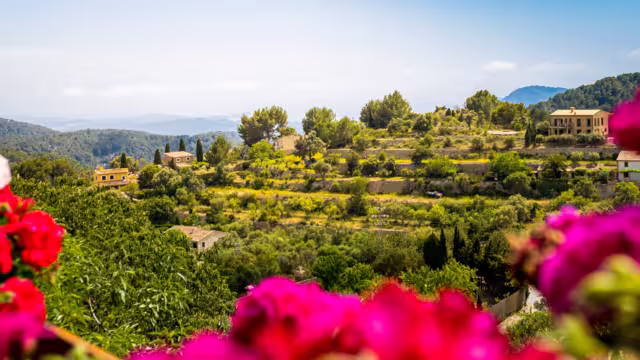 View through red geraniums from viewing platform Mirador Galilea at the square Ses Timbes also known as Plaza Pius XII or Plaza de la Iglesia in Galilea village at Mallorca to the mediterranean sea.