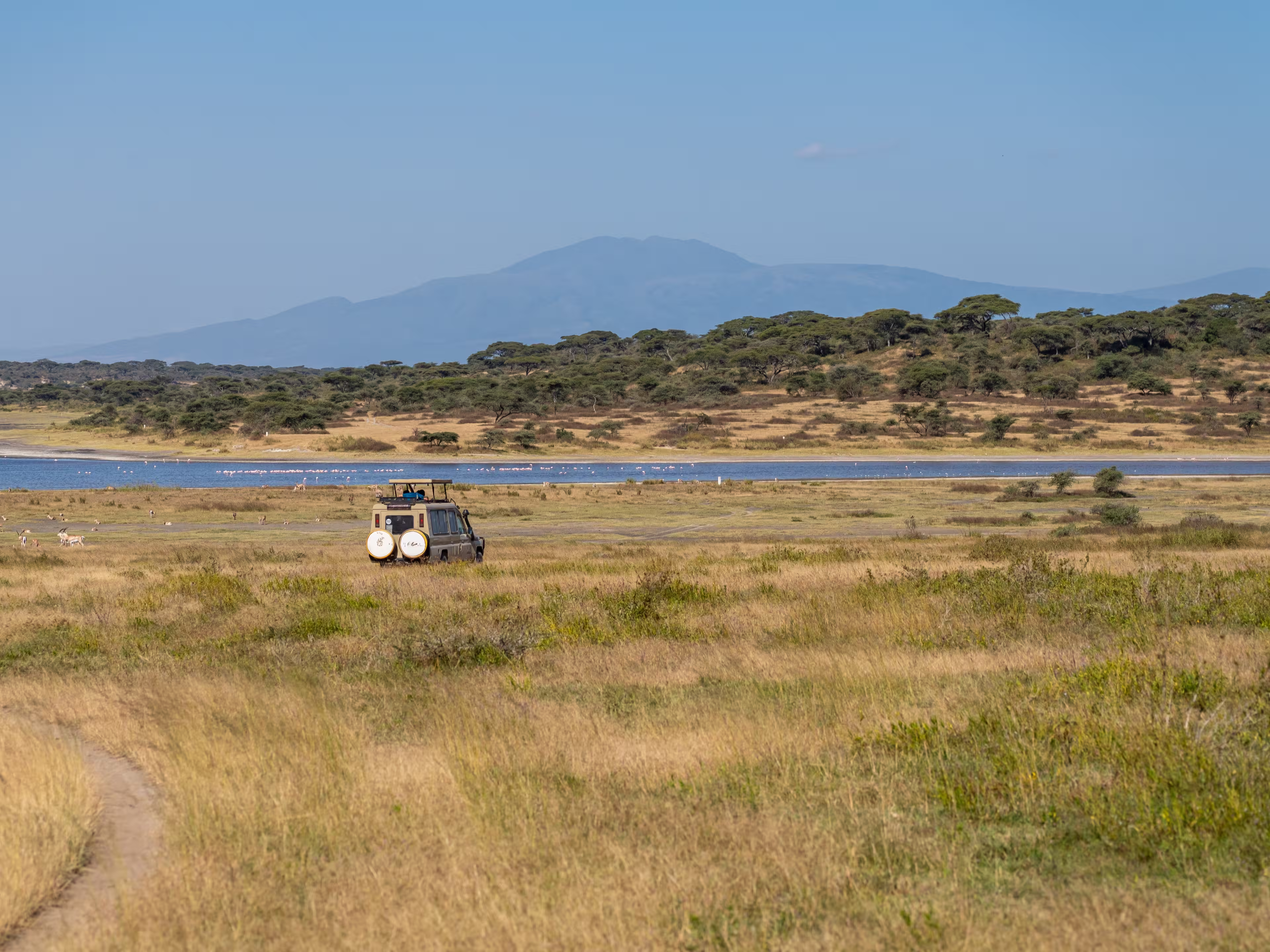 A safari vehicle makes its way across the golden plains of Ndutu, with Lake Ndutu and the distant highlands forming a dramatic backdrop to the wilderness.