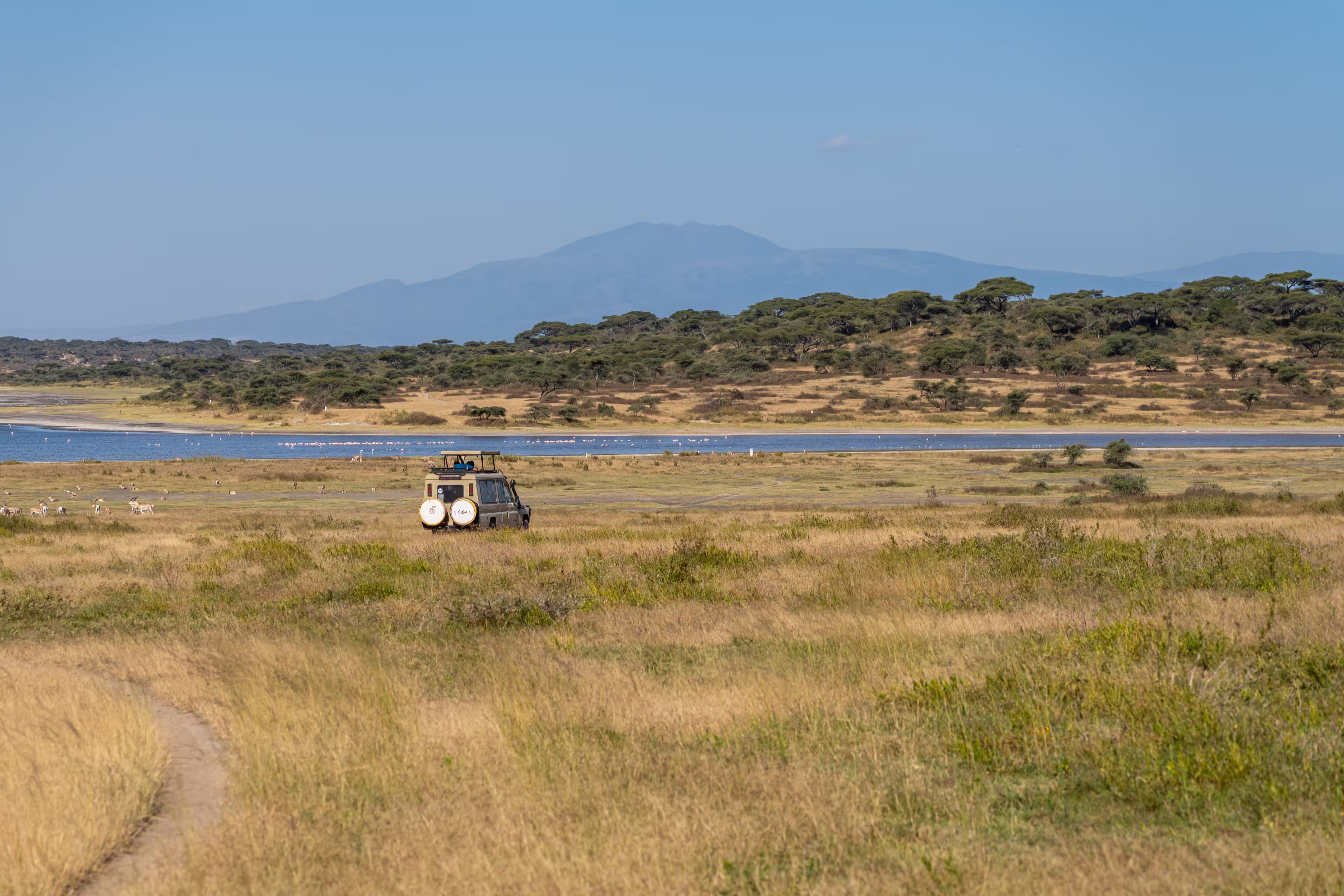 A safari vehicle makes its way across the golden plains of Ndutu, with Lake Ndutu and the distant highlands forming a dramatic backdrop to the wilderness.