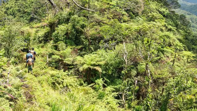 Trek through the highlands of Fiji with Intrepid Travel