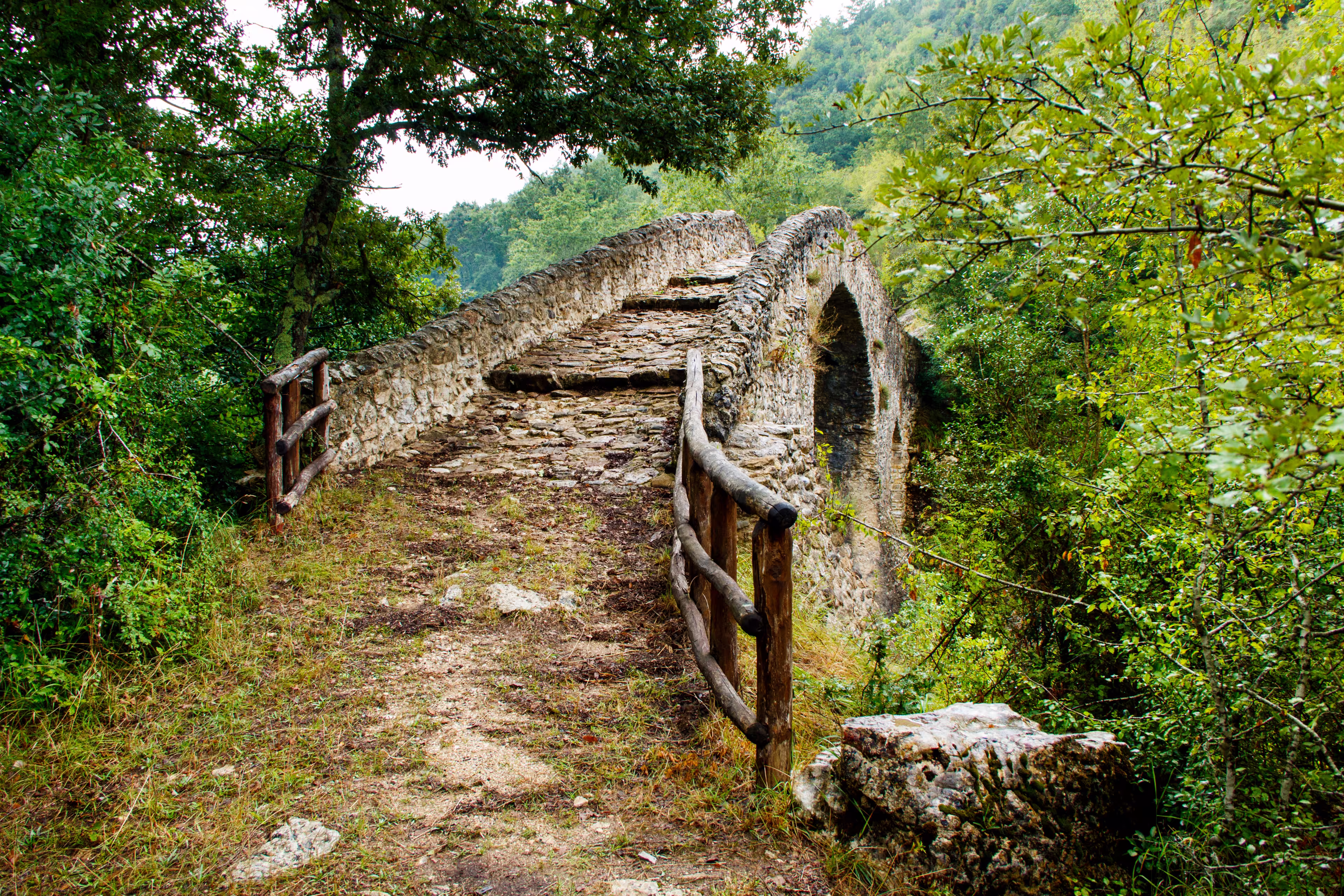 Im Herzen des Cilento Nationalparks 9 Tage