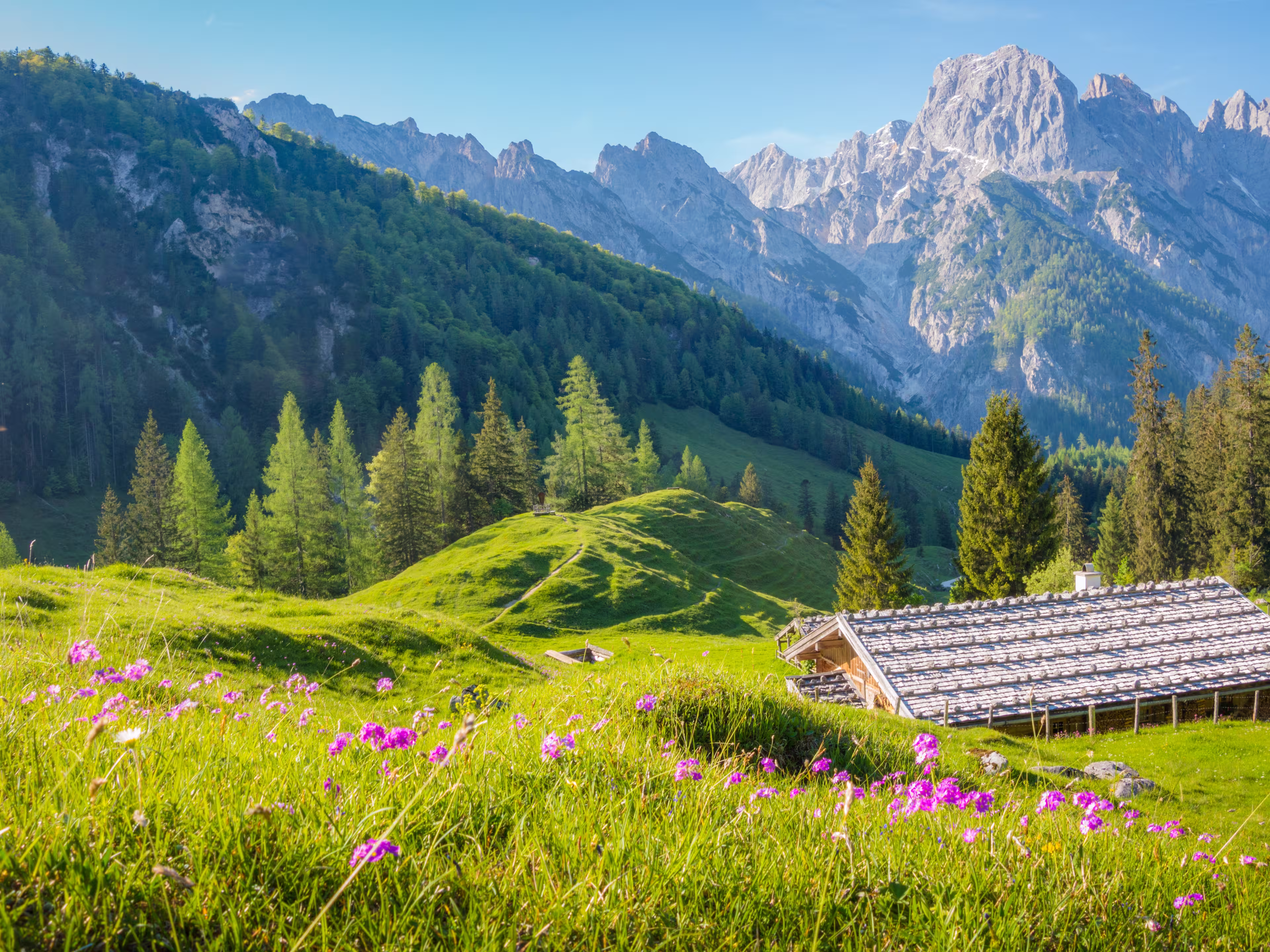 Idyllic landscape in the Alps with traditional mountain chalets and fresh green mountain pastures in summer