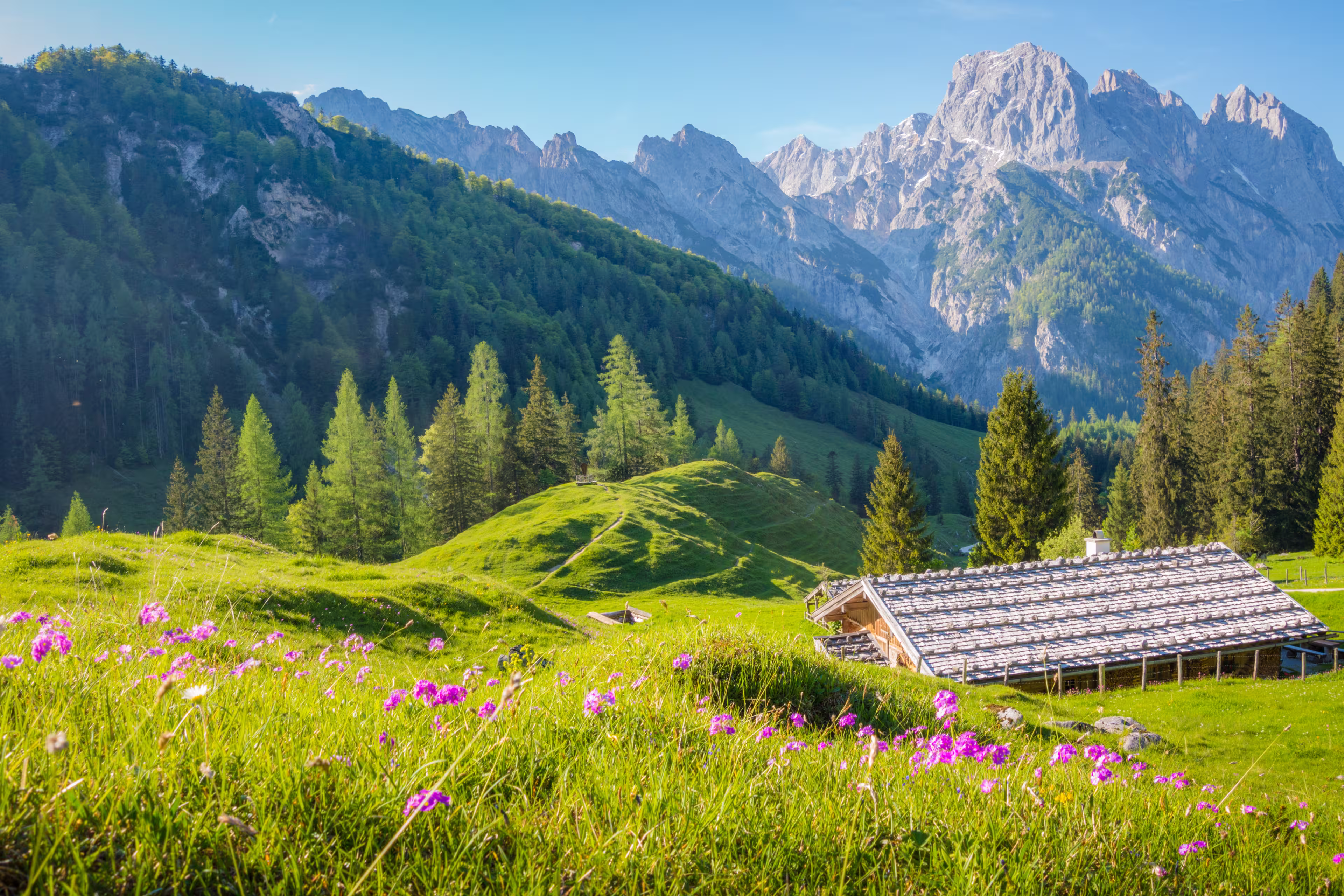 Idyllic landscape in the Alps with traditional mountain chalets and fresh green mountain pastures in summer