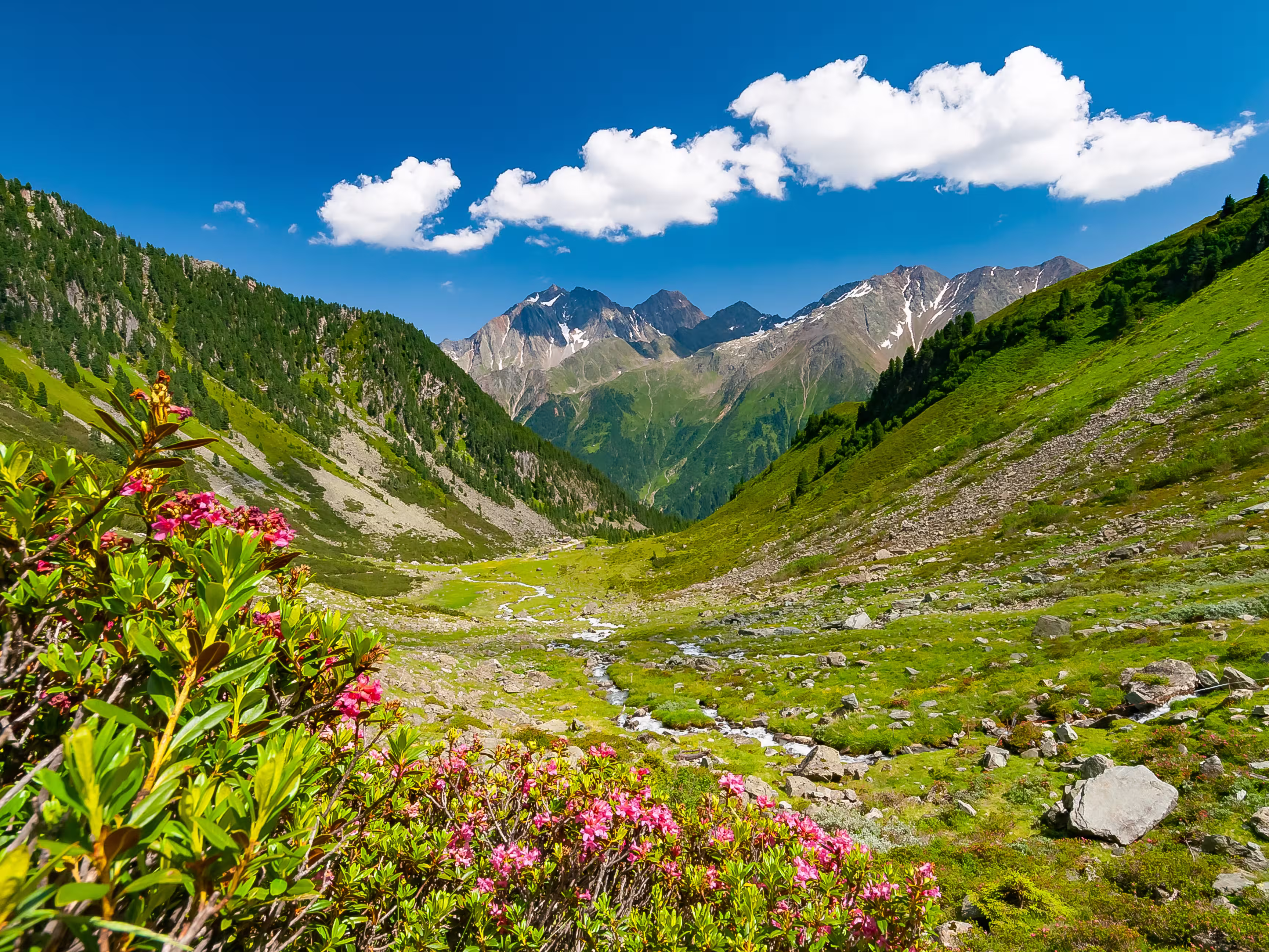 Beautiful summer mountains landscape in Stubai Tyrol Alps near New Regensburger mountain hut, Austria.