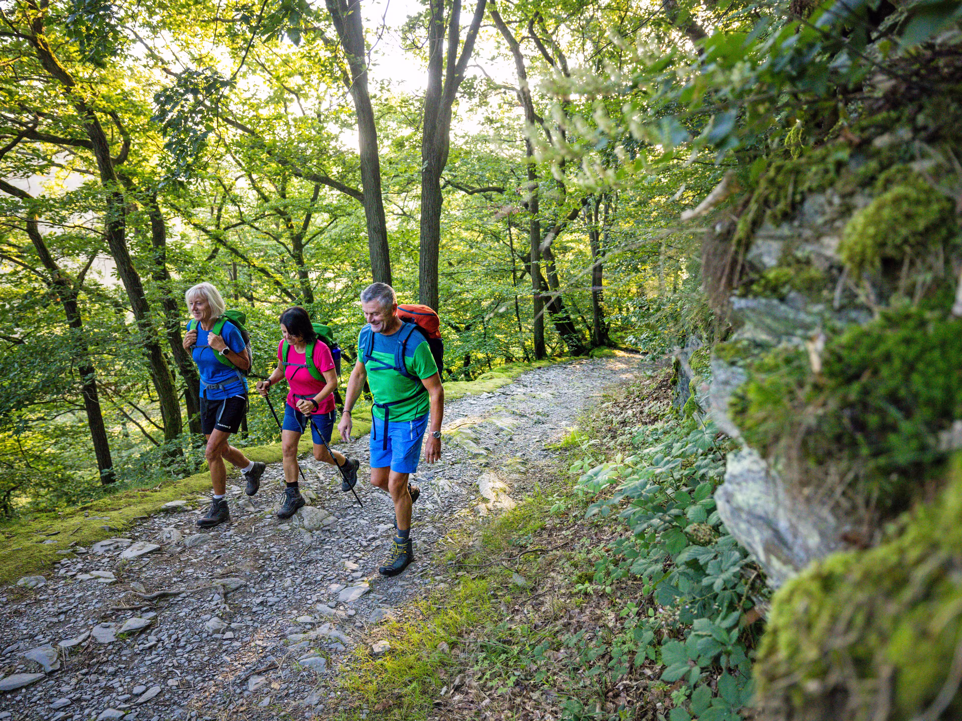 Wanderer auf dem Rheinsteig im Wald