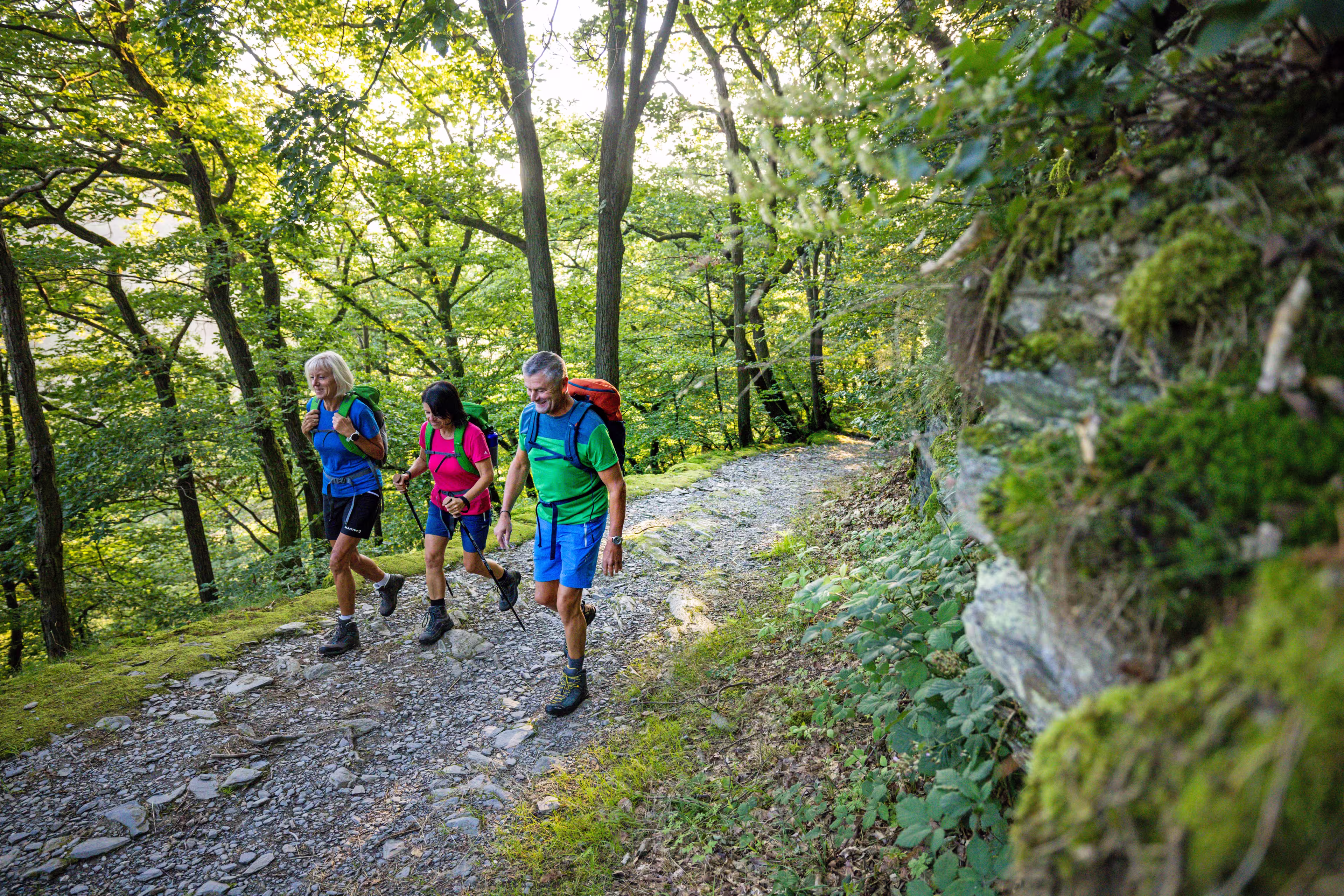 Wanderer auf dem Rheinsteig im Wald