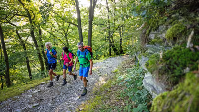 Wanderer auf dem Rheinsteig im Wald