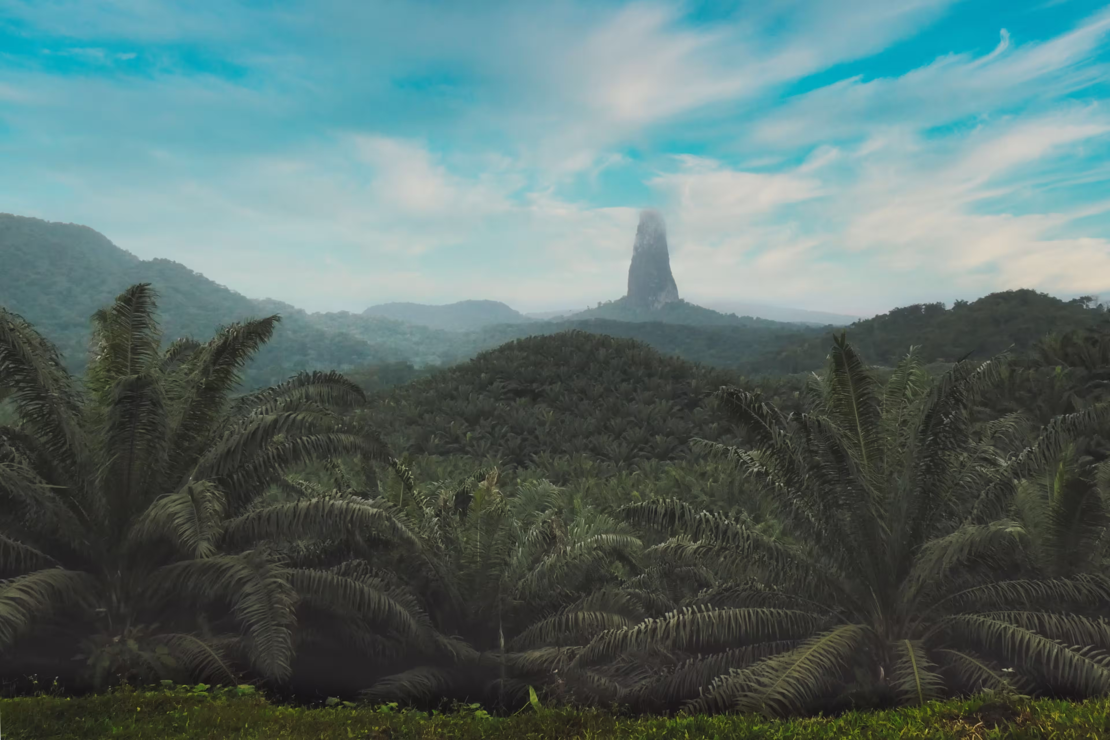 Stunning African Tropical Island background landscape