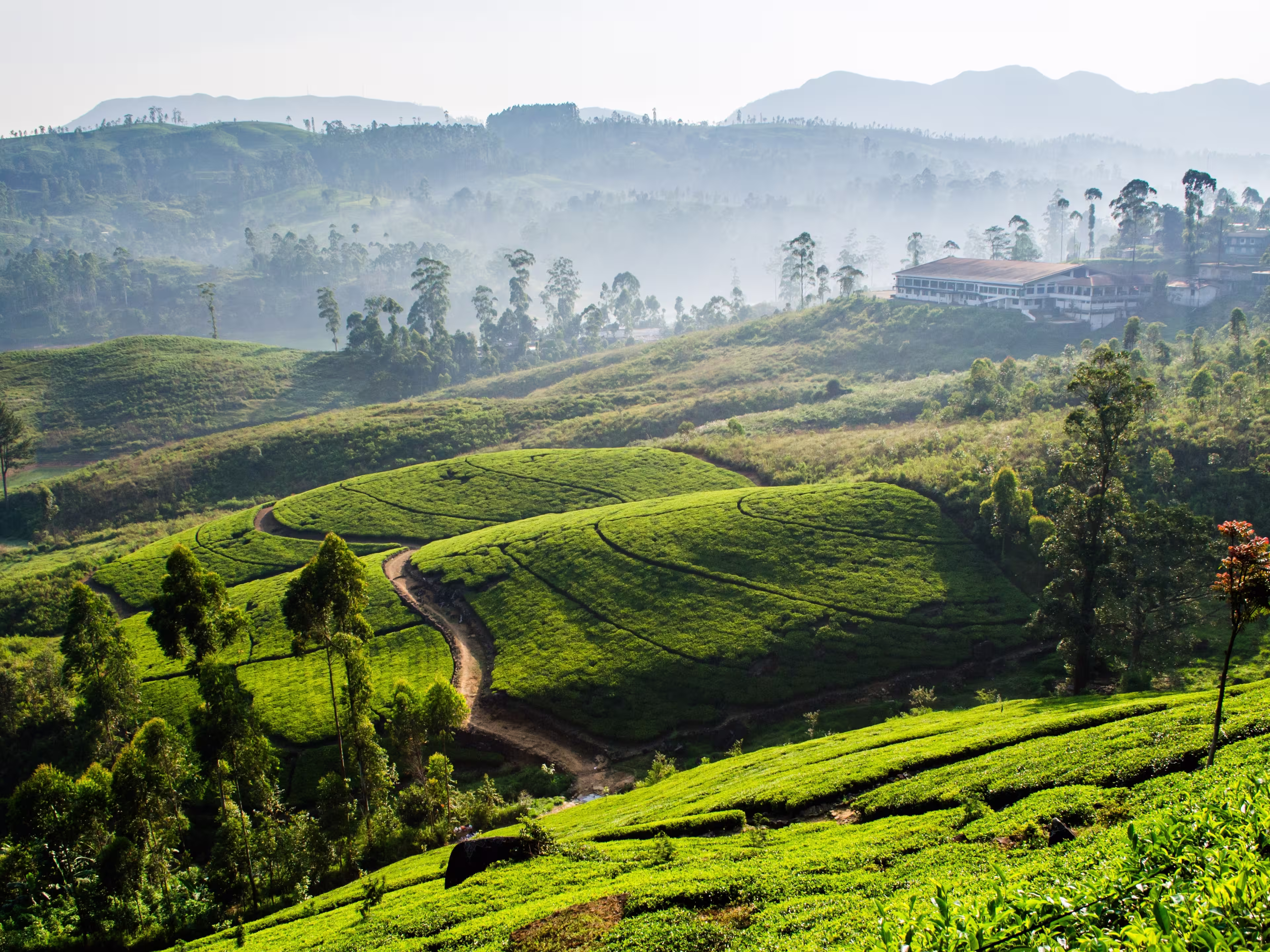 Castlereagh Reservoir, and serrounded tea plantation in hatton, Sri Lanka