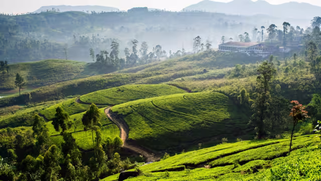 Castlereagh Reservoir, and serrounded tea plantation in hatton, Sri Lanka