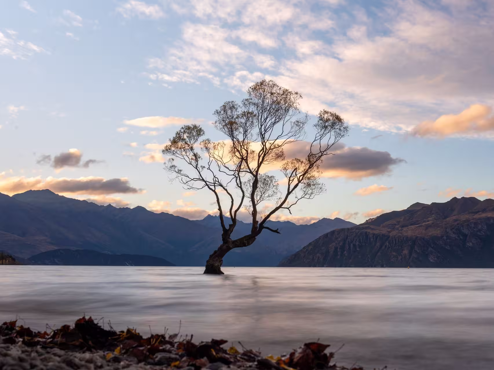 Take in the stunning sunsets at the Wānaka Tree on the Lake