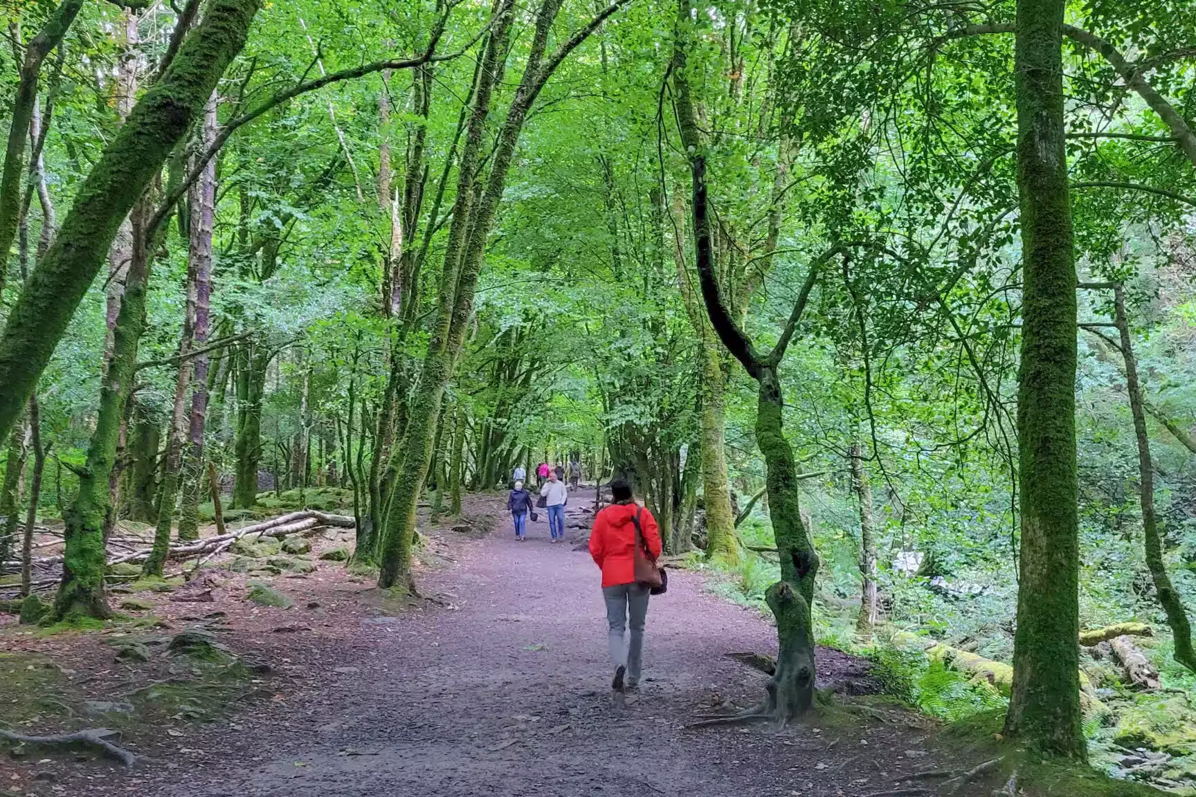 5‑tägige Selbstgeführte Wanderung auf dem Kerry Way