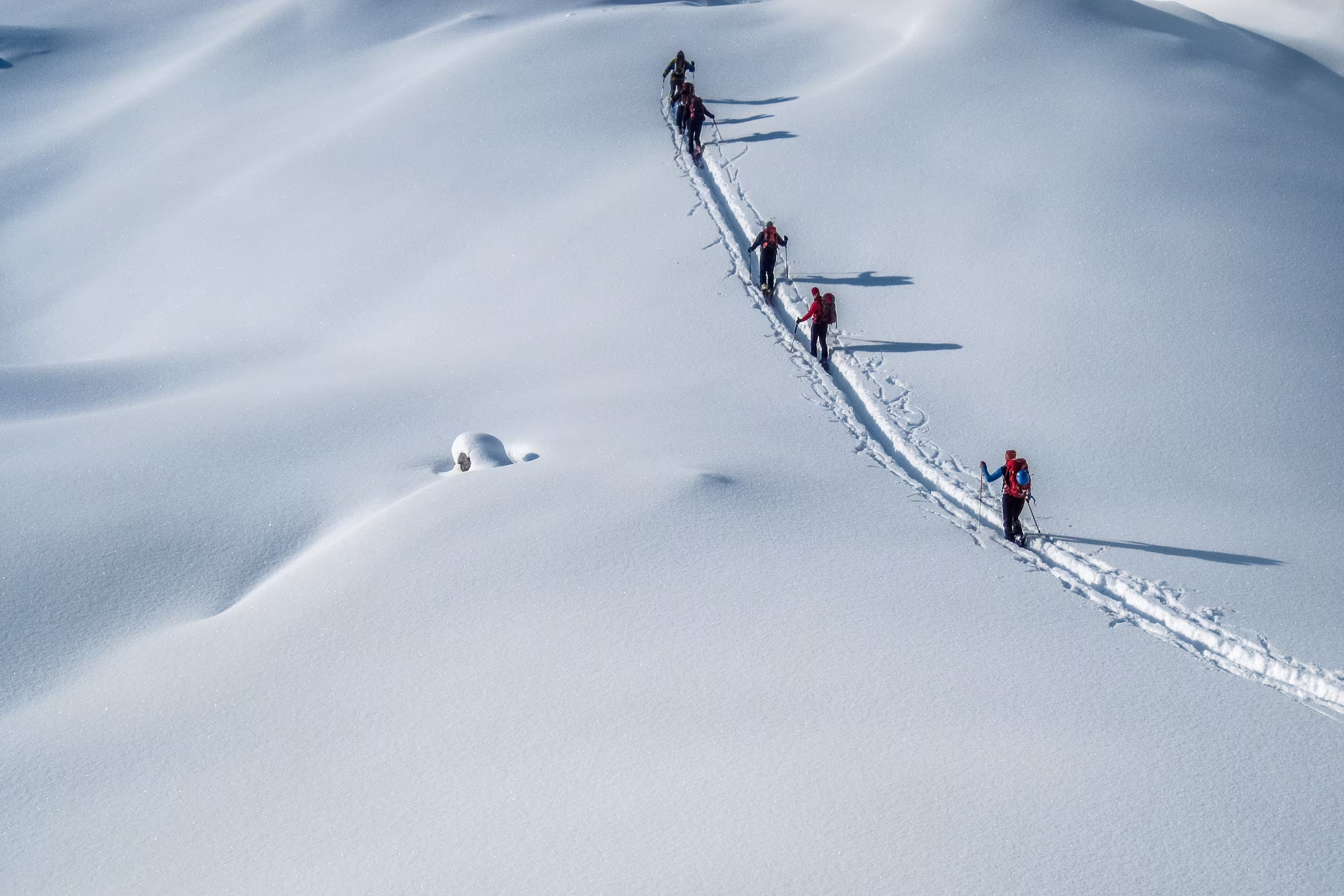 Ski touring in deep powder snow. Alpinists with ski on a ski tour on a glacier. Background image of a winter alpine landscape and ski alpinists off piste. Winter adventure activities.