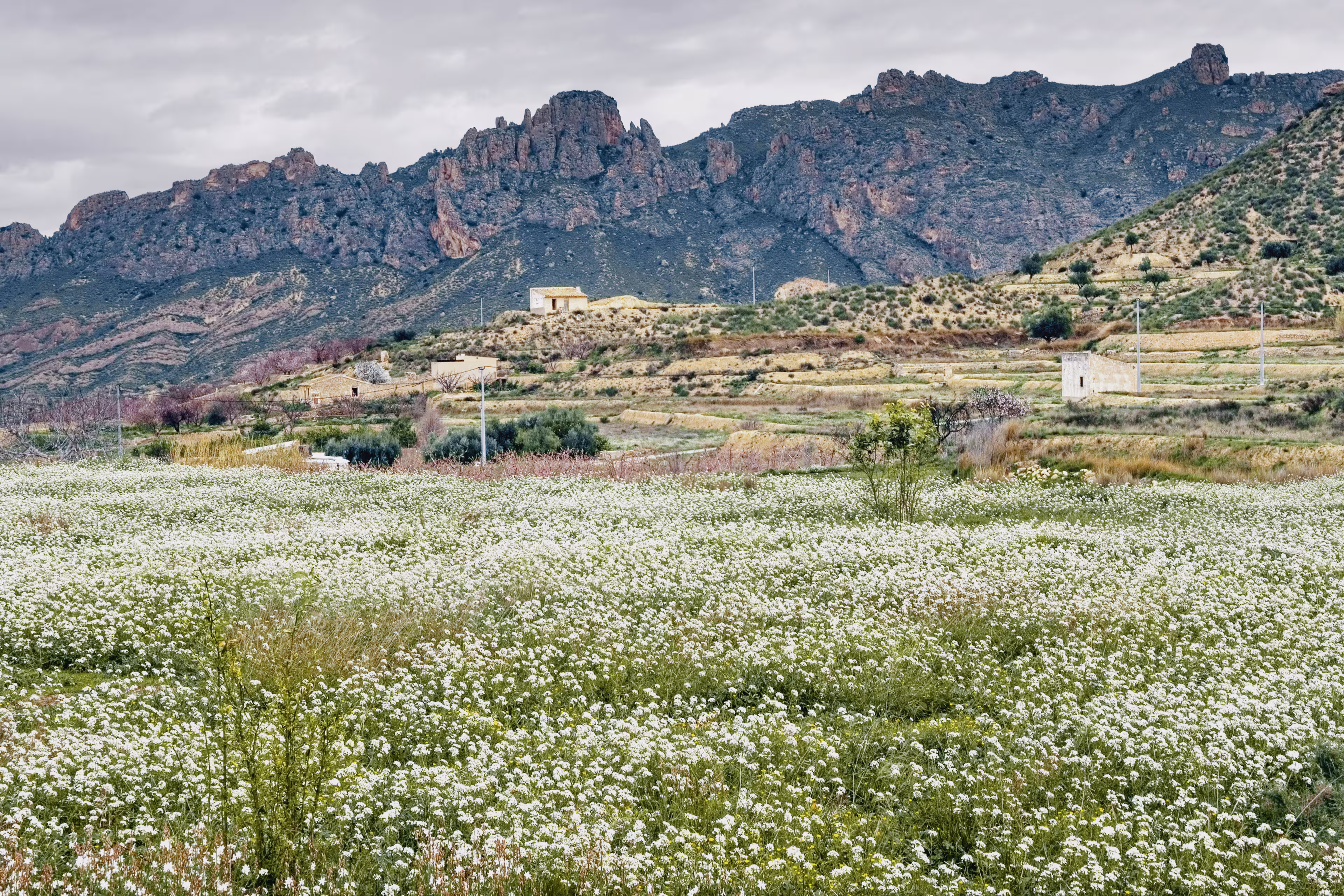 Murcia - die schönsten Radtouren im Osten der Peninsula