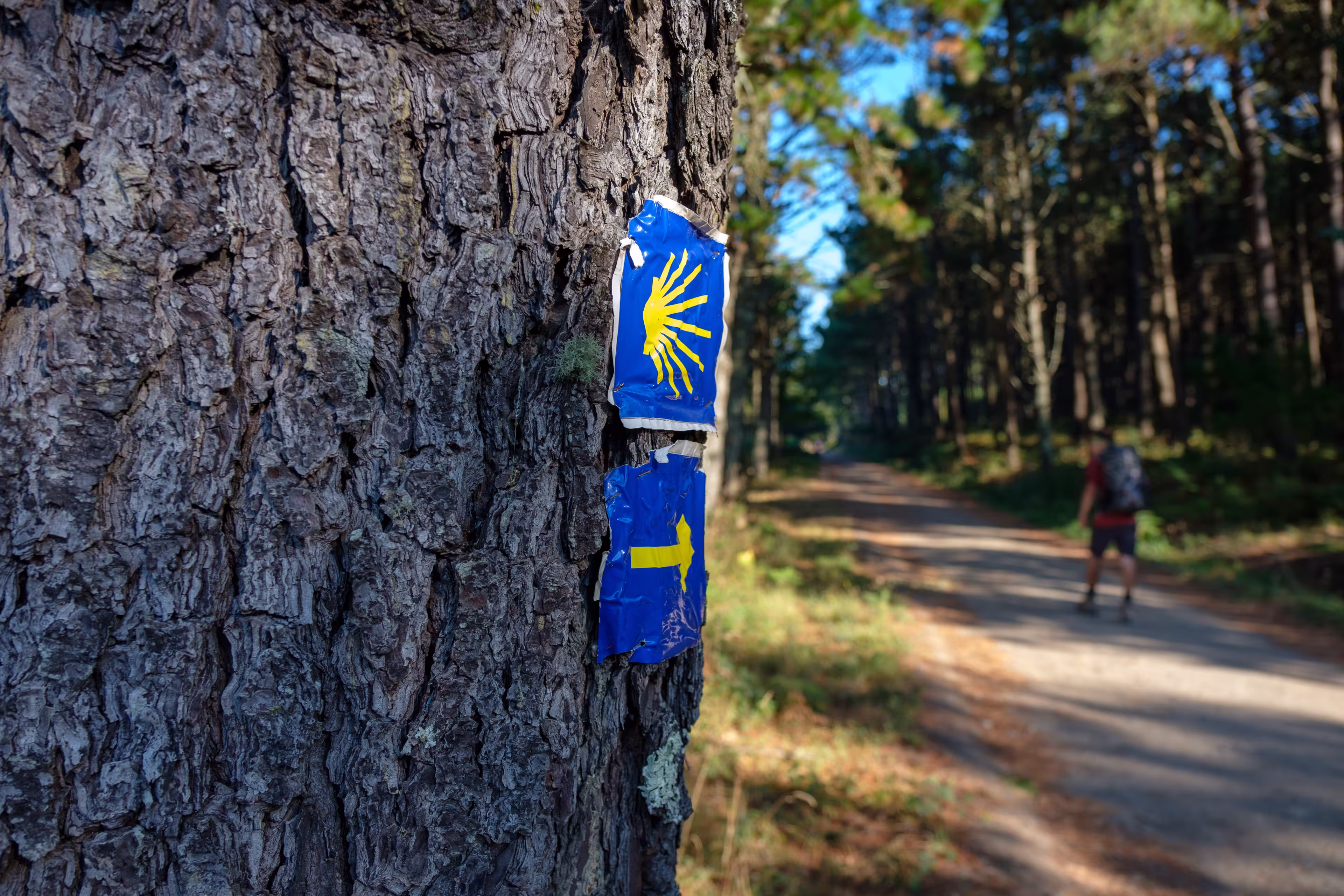 Pilgrim on the Camino de Santiago