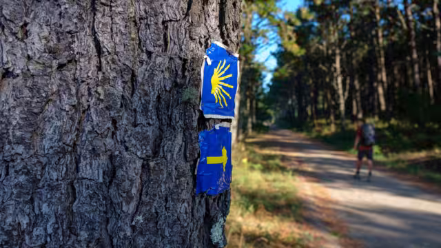 Pilgrim on the Camino de Santiago