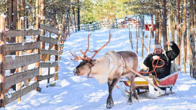 Man riding Reindeer sled in winter Rovaniemi, Lapland, Finland