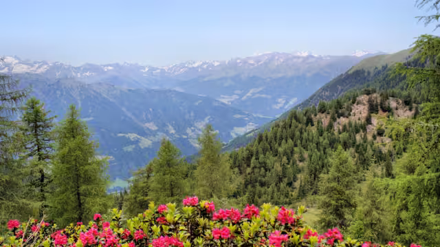 Passeiertal