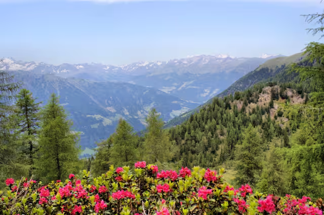 Passeiertal