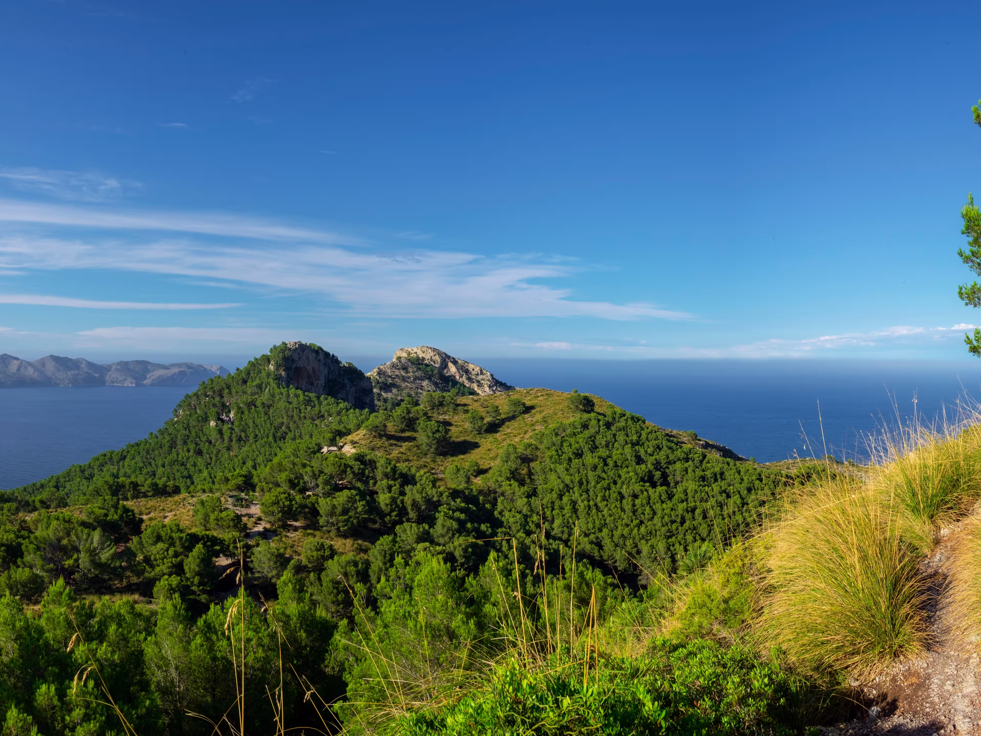 senda del Puig de Sa Talaia, área natural de la Victòria, Alcúdia,  Mallorca, balearic islands, Spain
