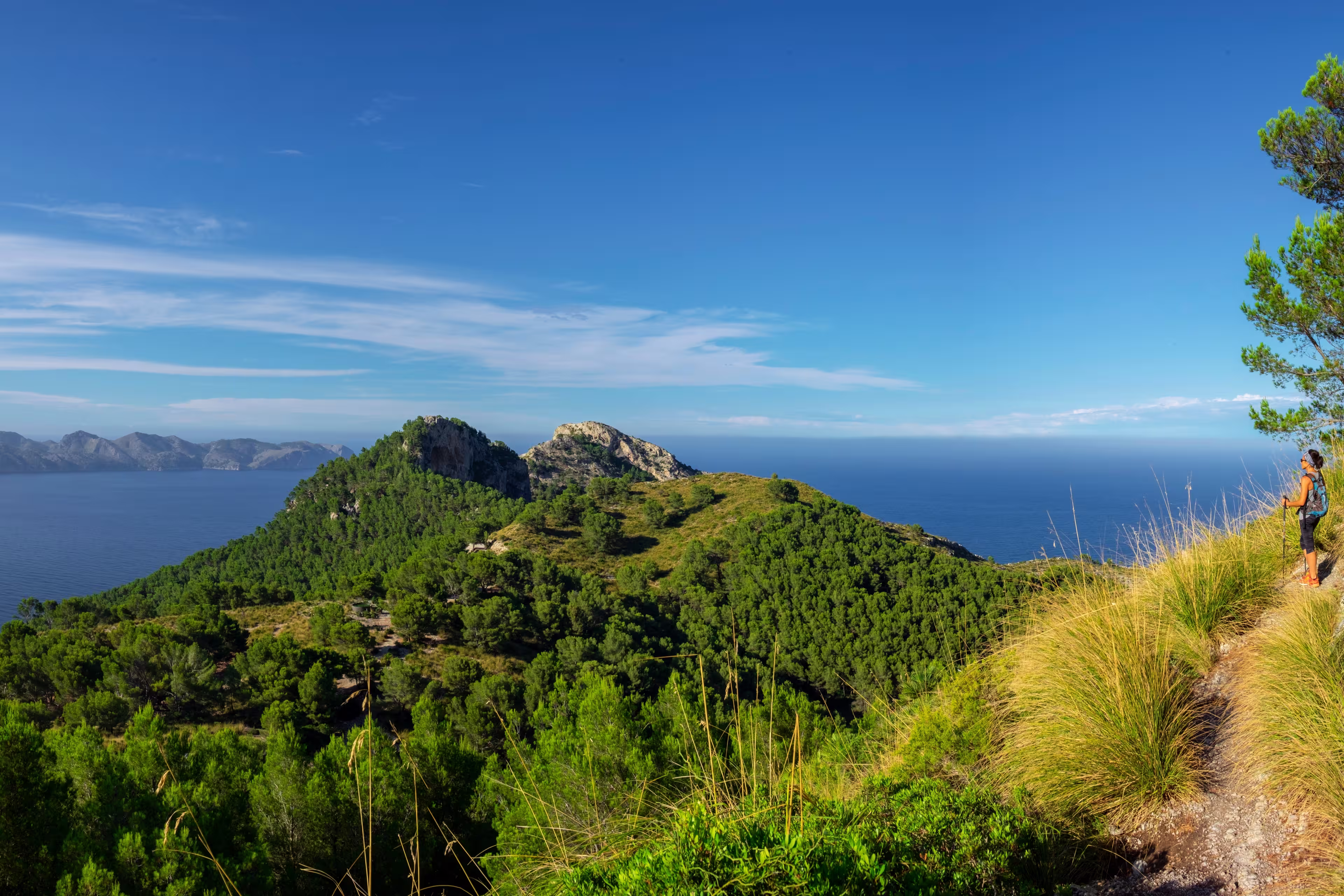 senda del Puig de Sa Talaia, área natural de la Victòria, Alcúdia,  Mallorca, balearic islands, Spain