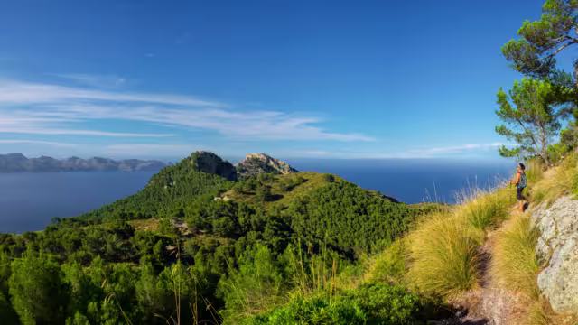 senda del Puig de Sa Talaia, área natural de la Victòria, Alcúdia,  Mallorca, balearic islands, Spain