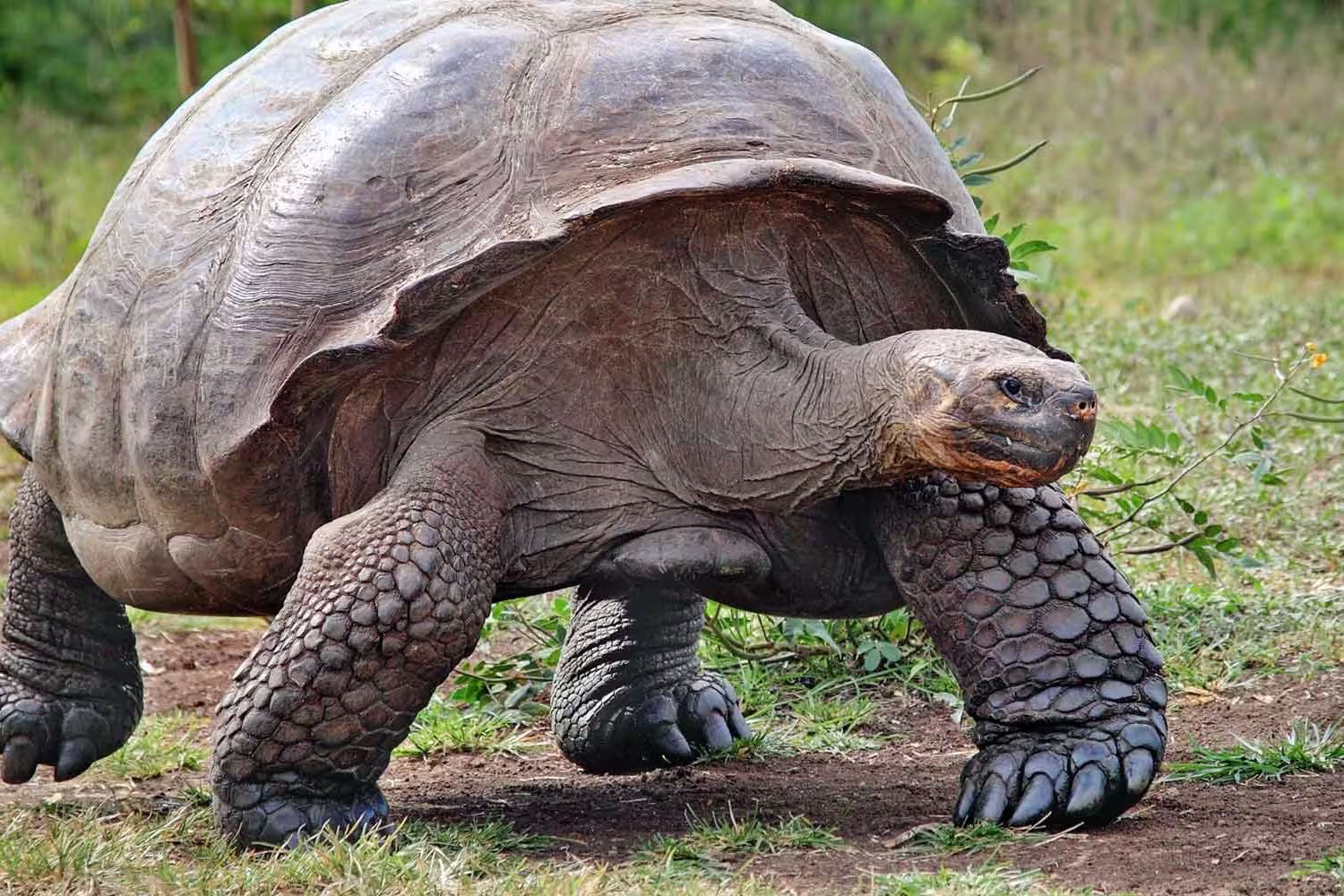 Galapagos Experience - 1